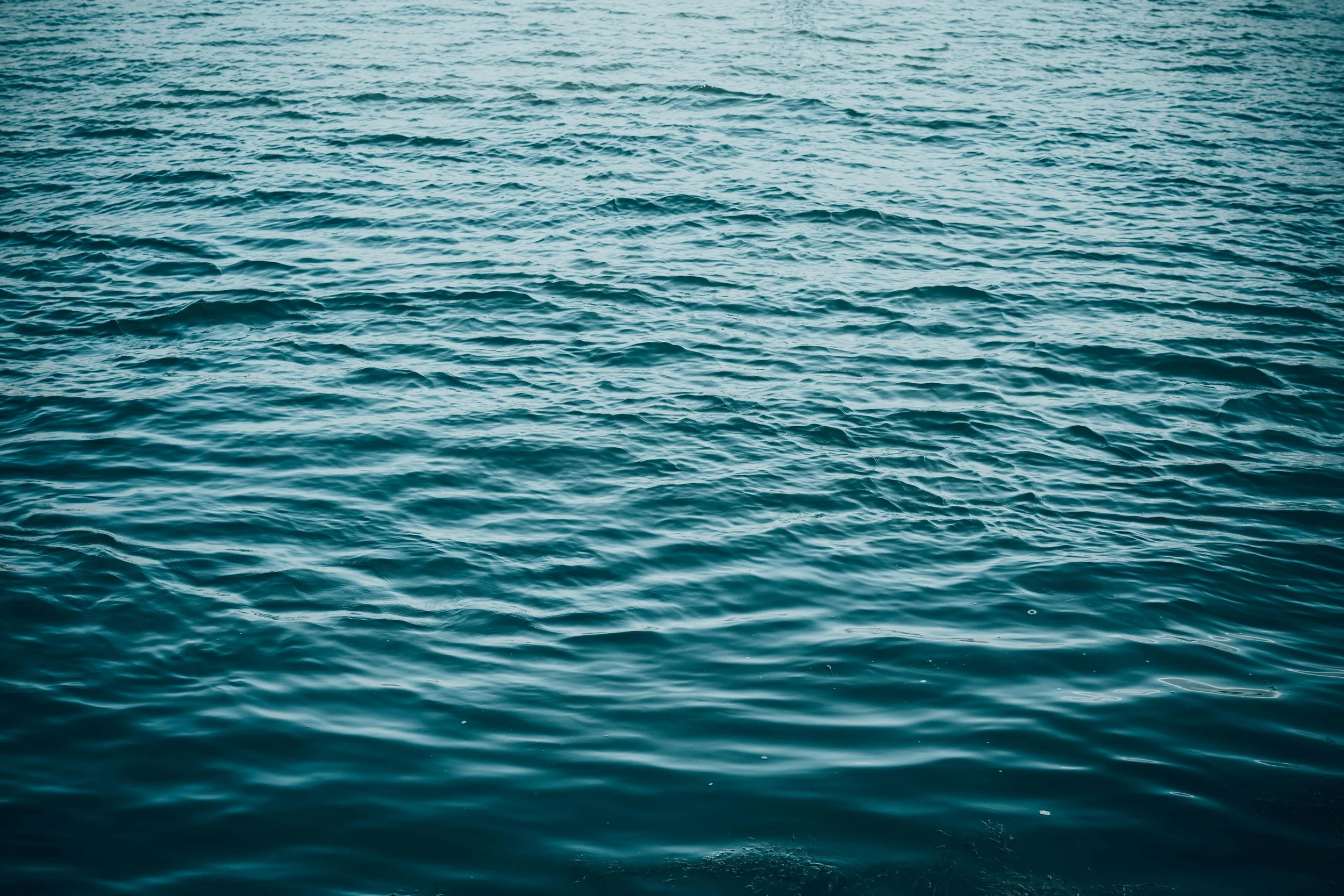 Expansive view of calm, blue ocean water with gentle ripples.