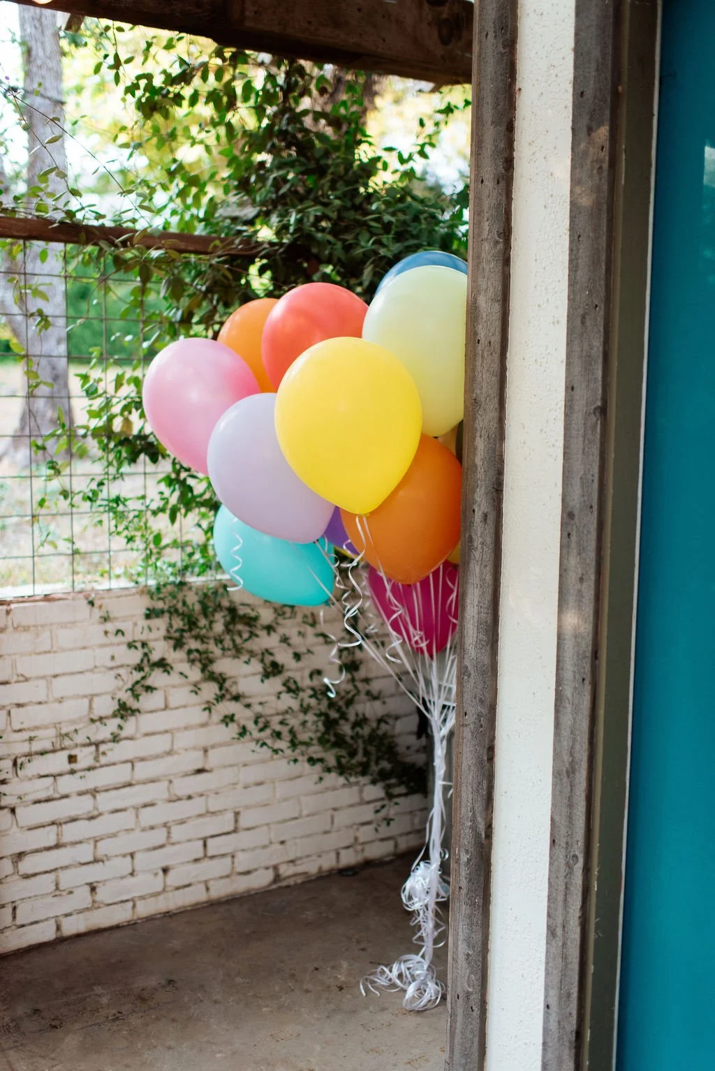 A bunch of colorful balloons tied together, placed outdoors near a brick wall and greenery.