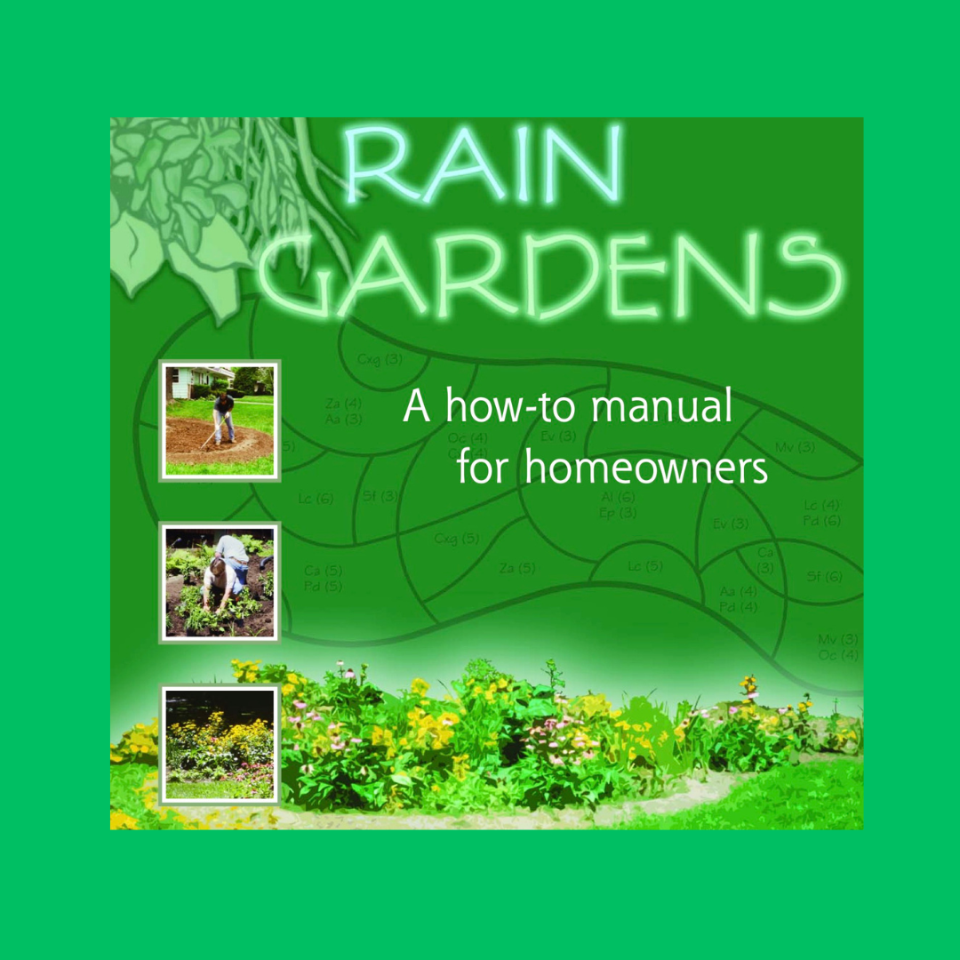 Learn how to make a rain garden