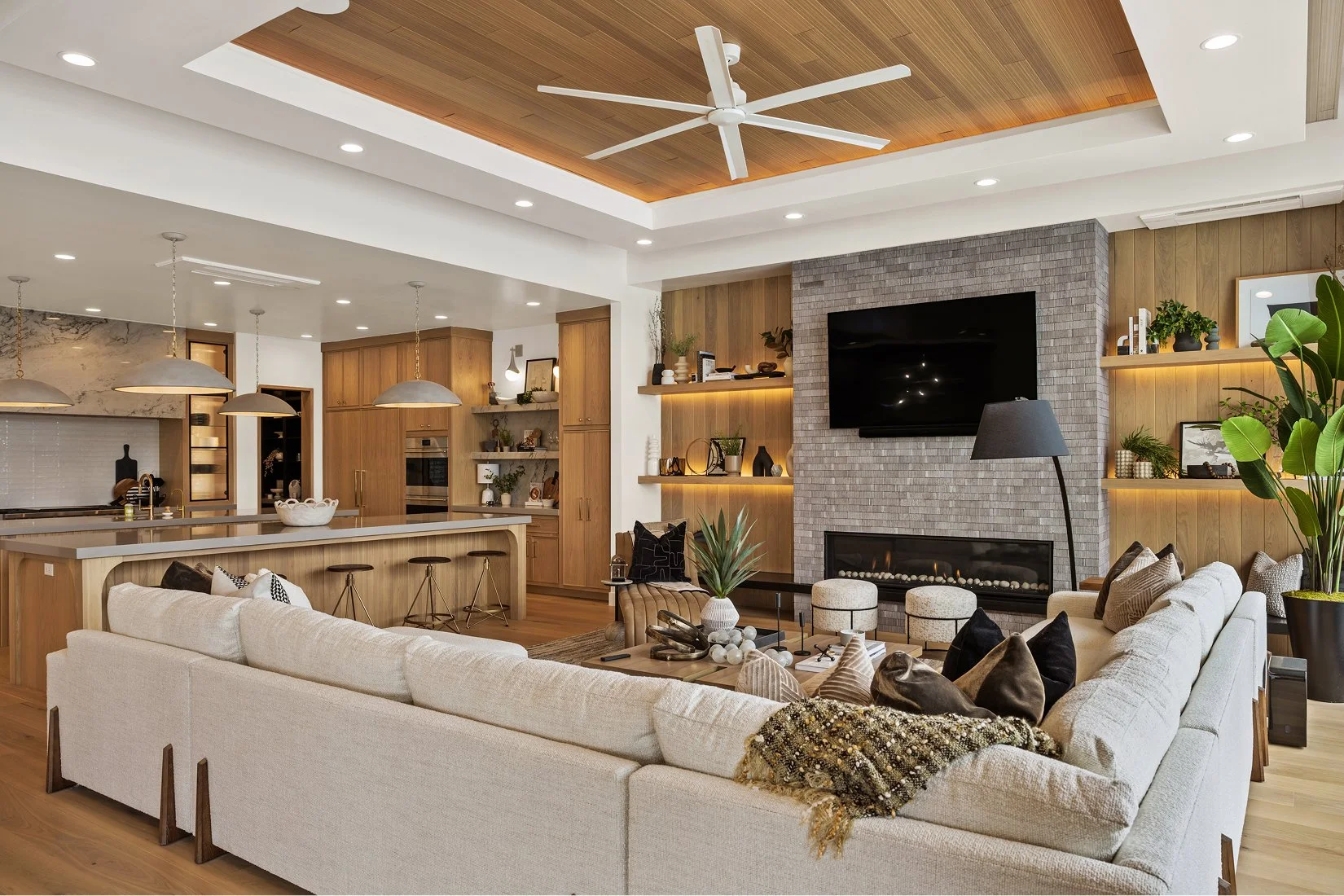 Luxury Entertainment Center