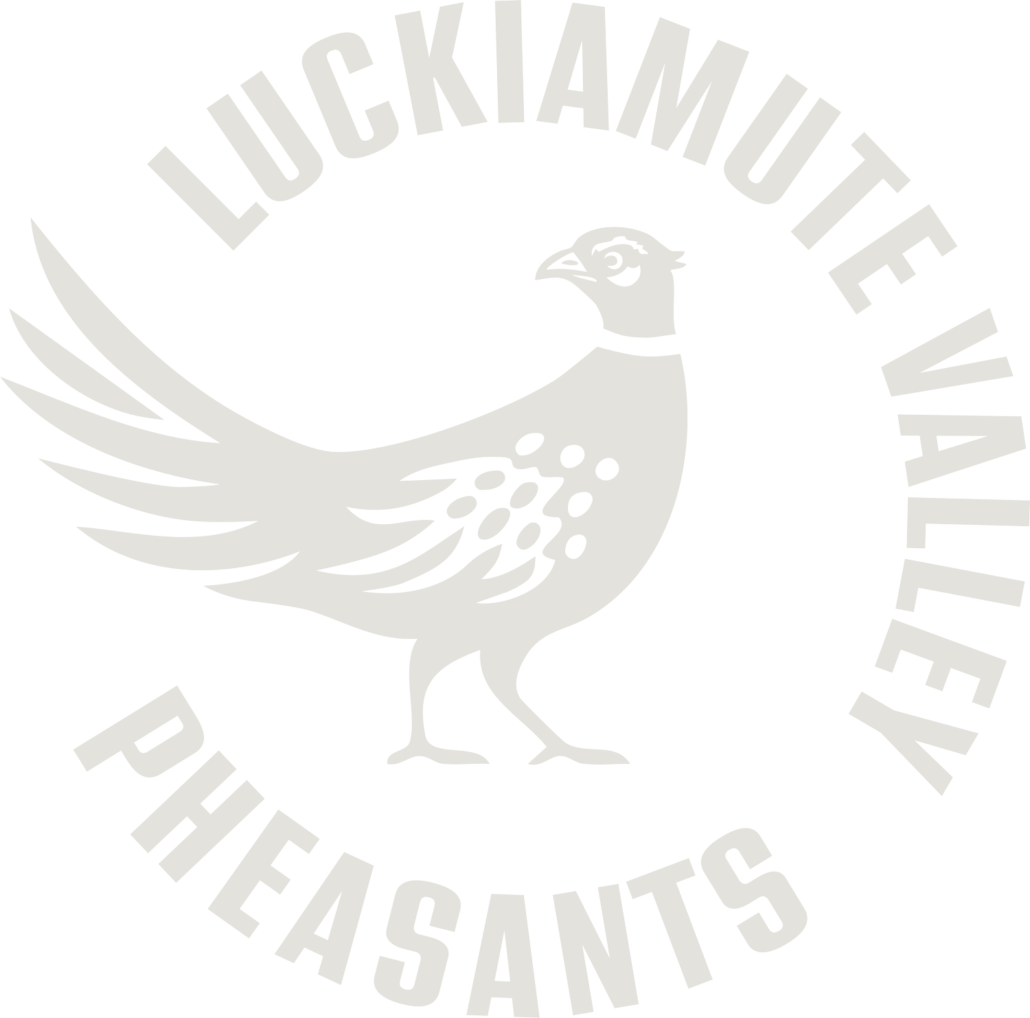 Luckiamute Valley Pheasants