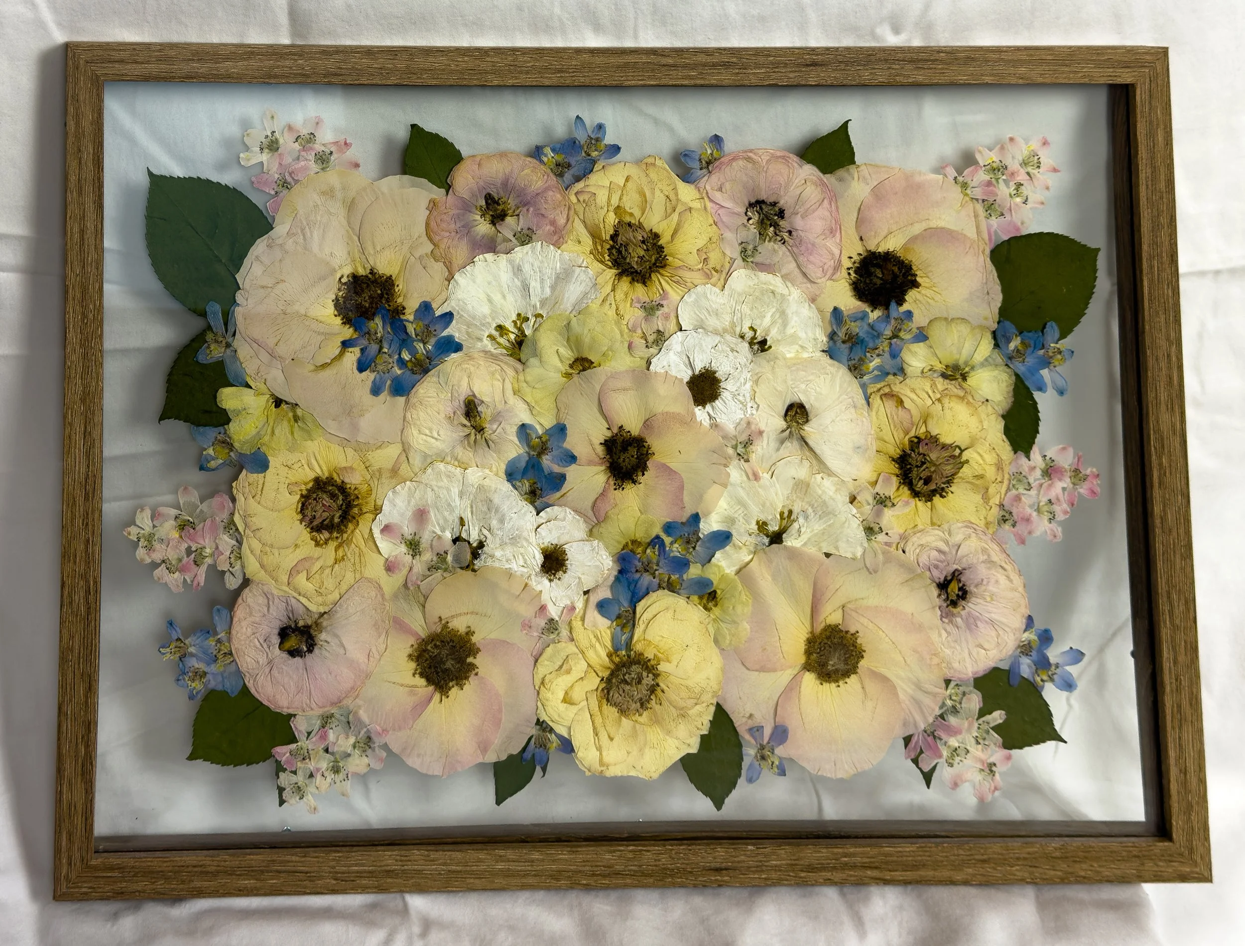 Pressed flower frame