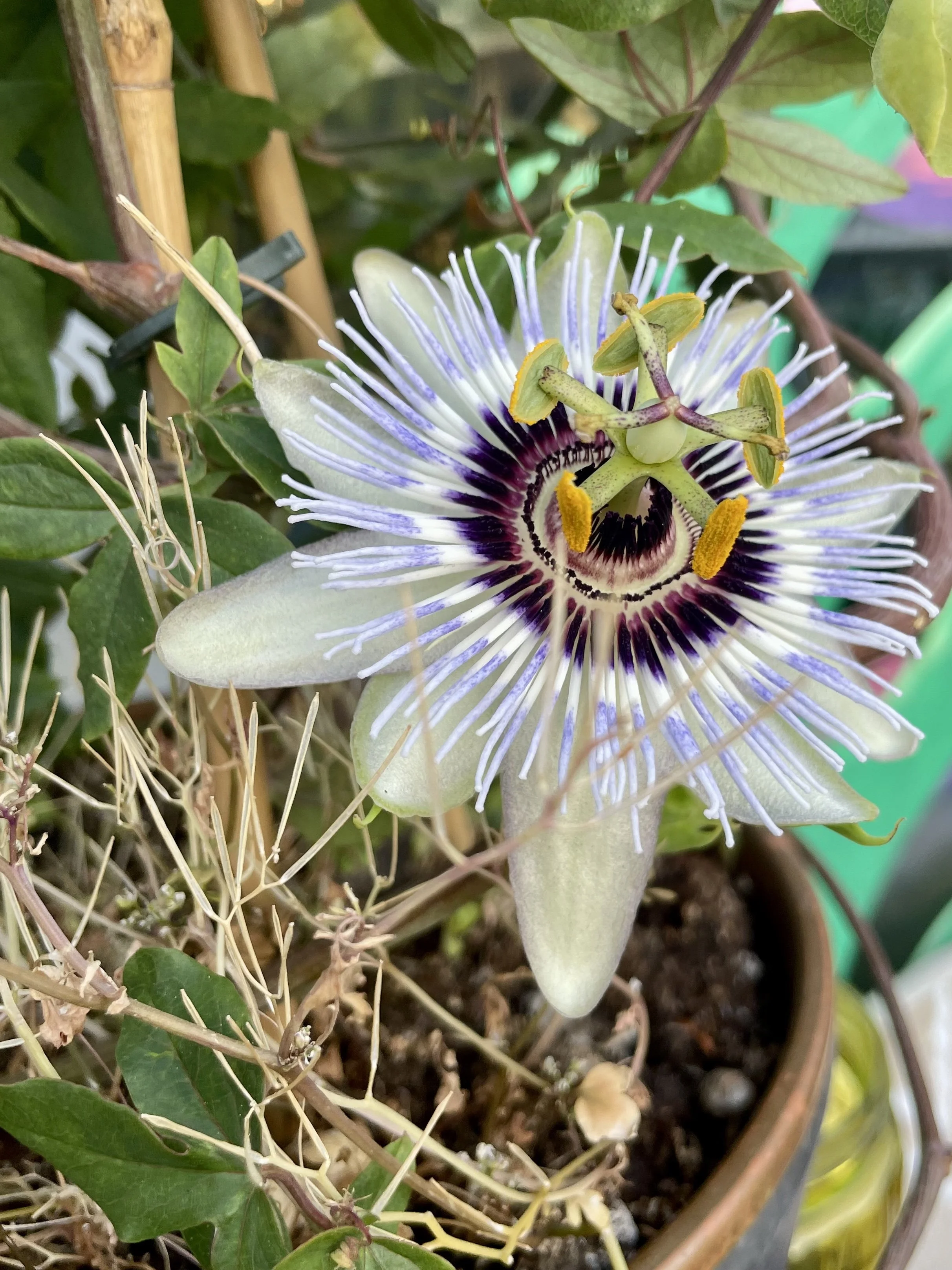 Feeling Good in Your Skin (and Your Clothes)