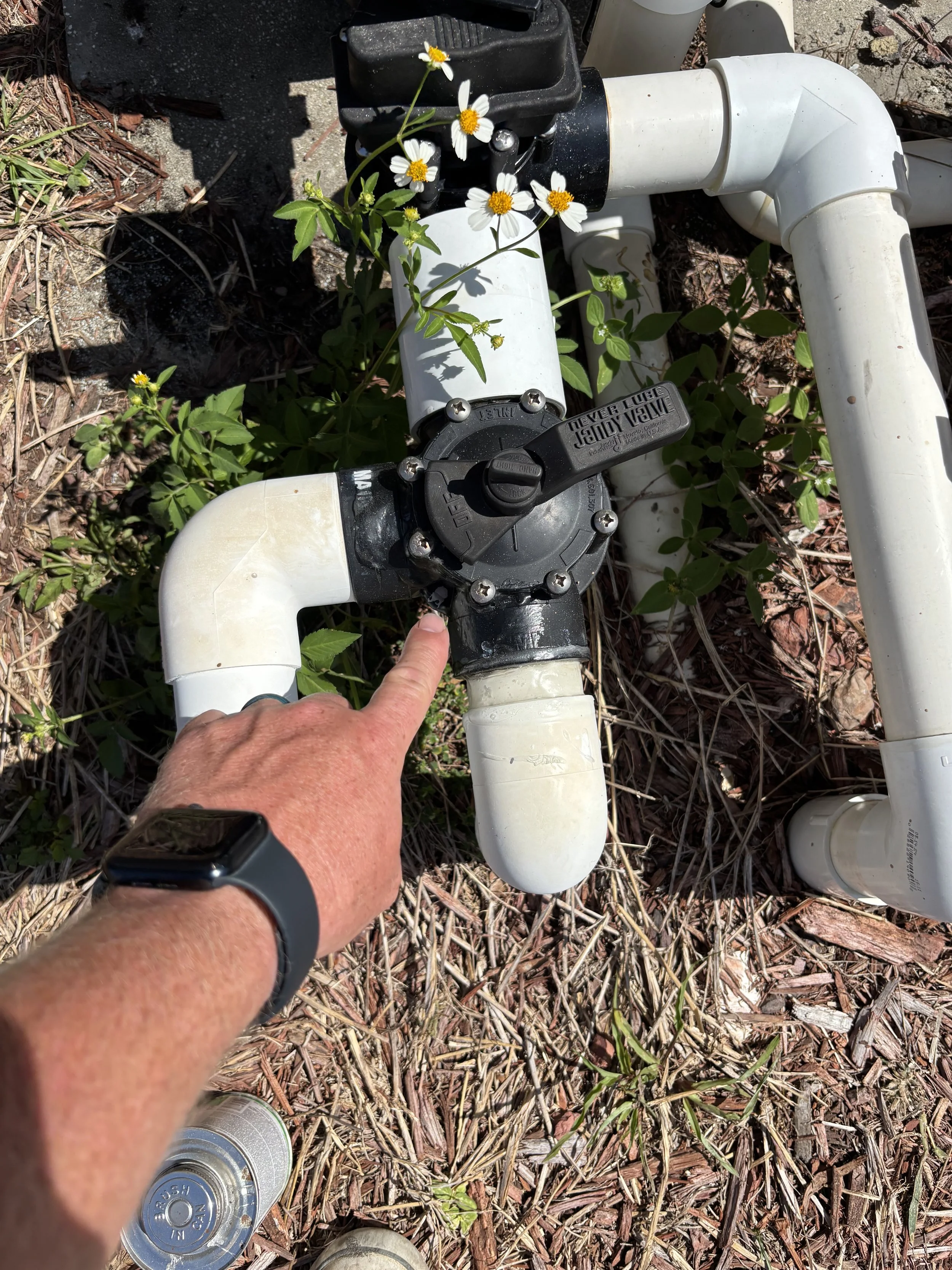 A person's hand pressing a valve on a black sprinkler manifold with white PVC pipes, surrounded by small plants and dirt, some daisies growing around.
