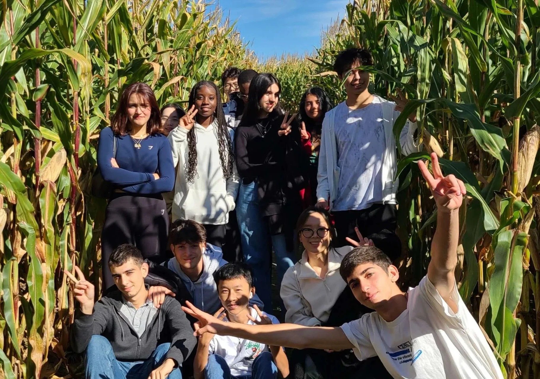 11303ecc1f42deb1c42a09fa62a1c0e.jpg