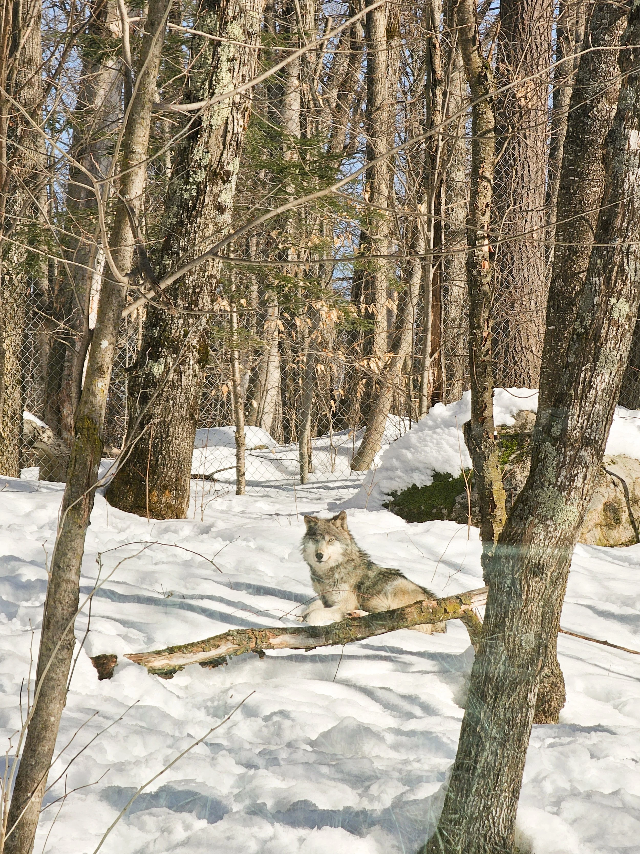 f7a8221b1e0fedc5b1537af9419a7377 2.jpg