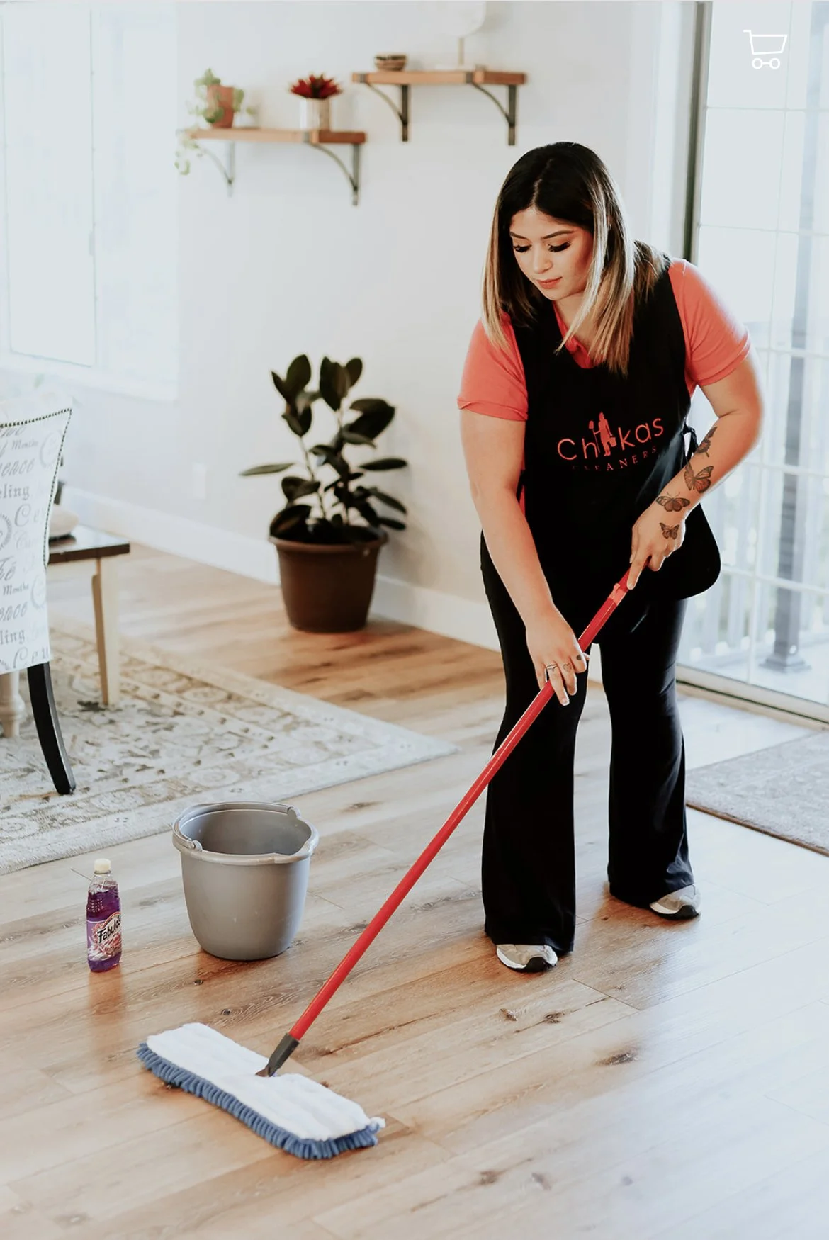 carpet cleaning company