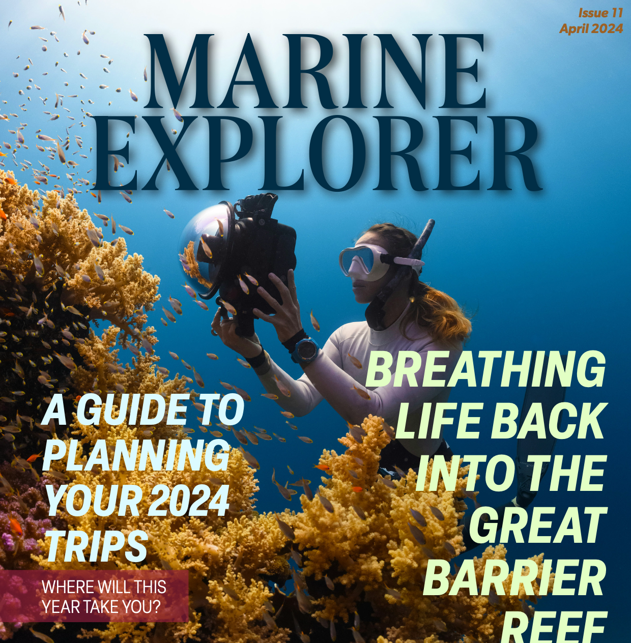 Marine Explorer Magazine