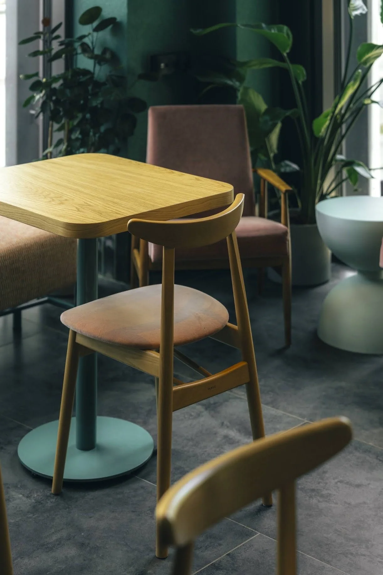 Interior of a modern cafe with a wooden table, wooden chairs, and large green plants near windows, with natural light.