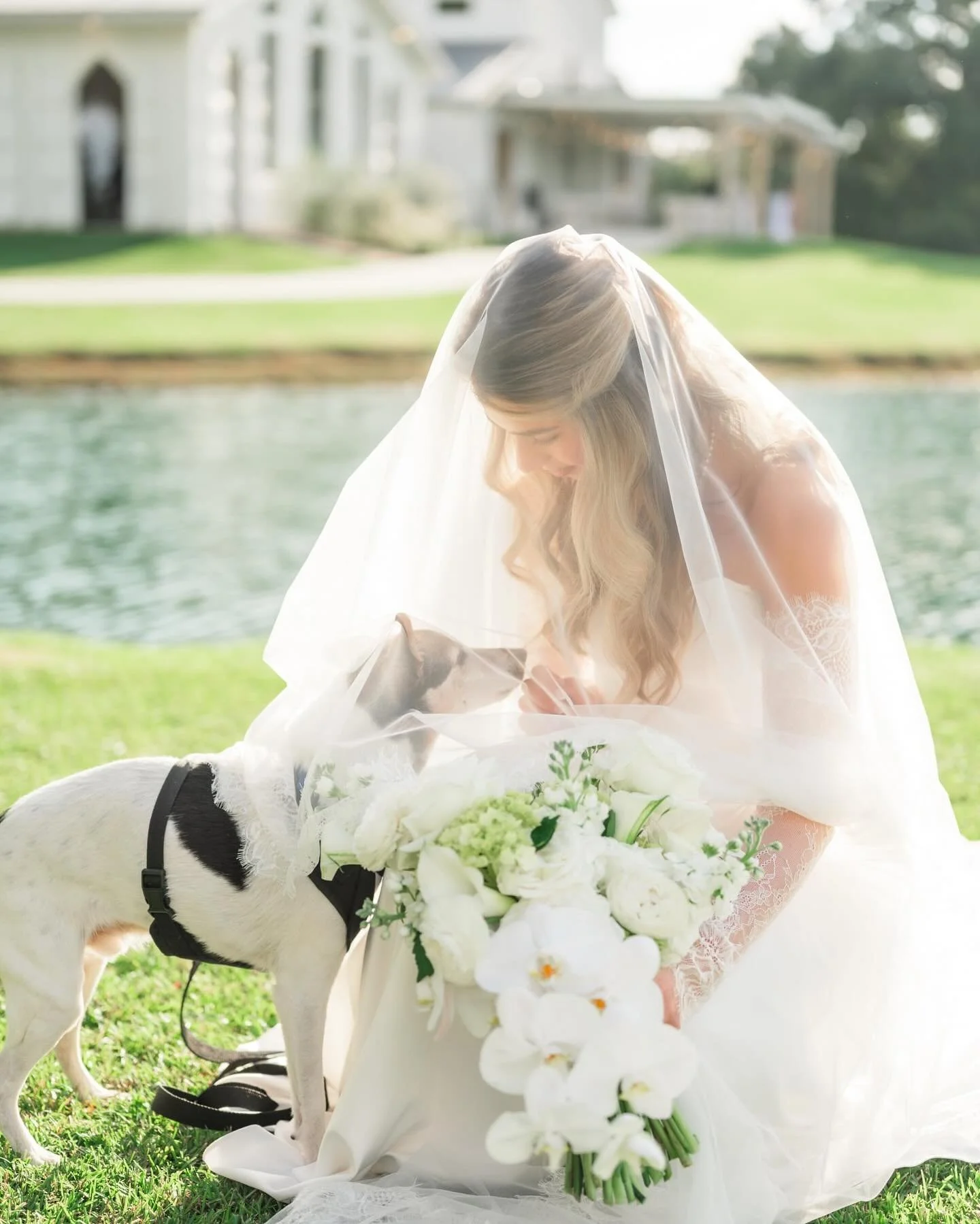 MR. AND MRS. NAQUIN&lt;3

Lauren and Layne had such a beautiful wedding day at Wolf Hill! It was an honor to capture this sweet season for them from sailboat engagement sessions to sunset bride and groom portraits!❤️ Congratulations newlyweds! 

Vend