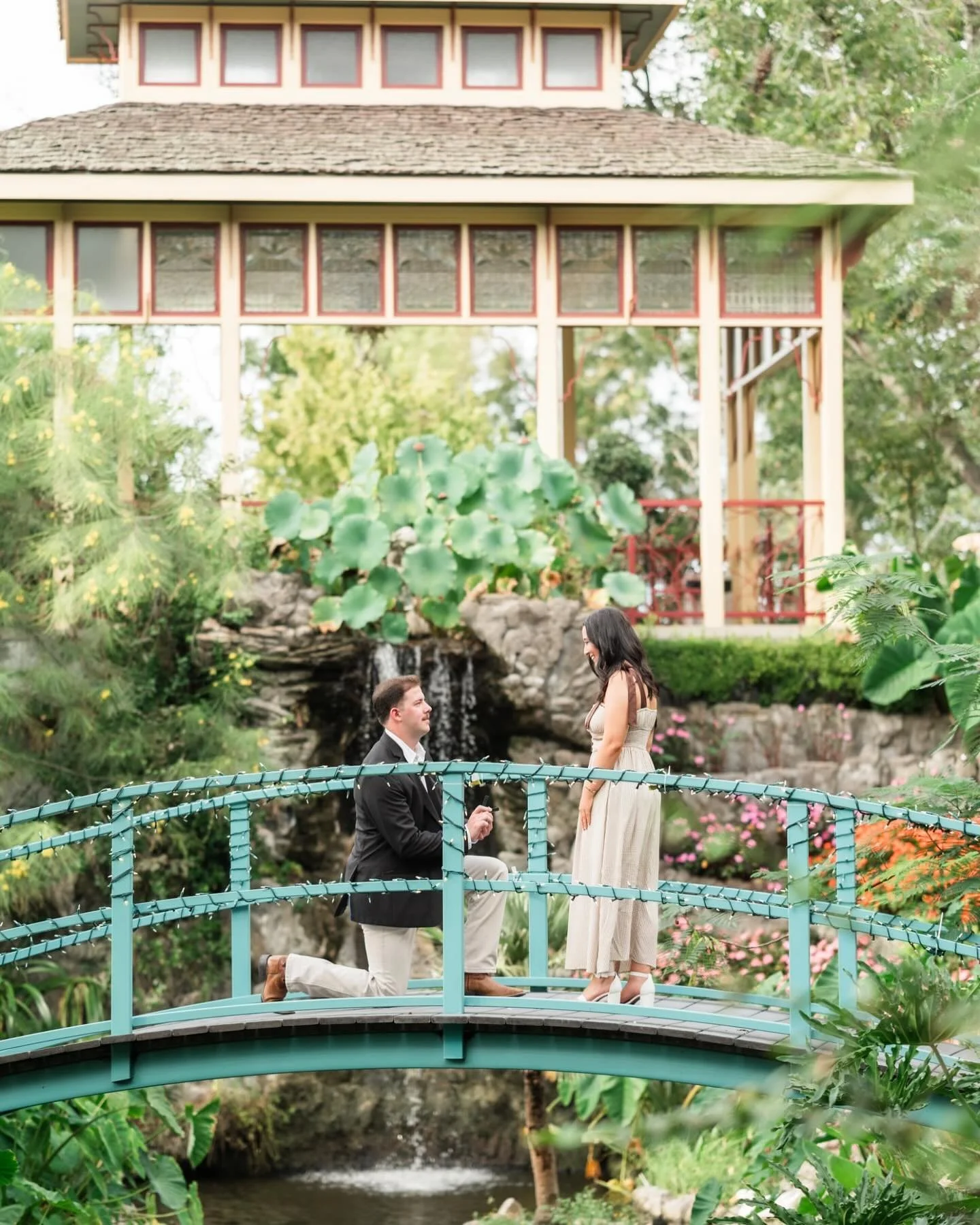 It was such an honor to capture Abbey and Michael&rsquo;s proposal at Houmas House! 

With storms all day we were anticipating having to take photos on porches and under umbrellas - but it worked out PERFECTLY! 

Well&hellip; minus a rooster and peac