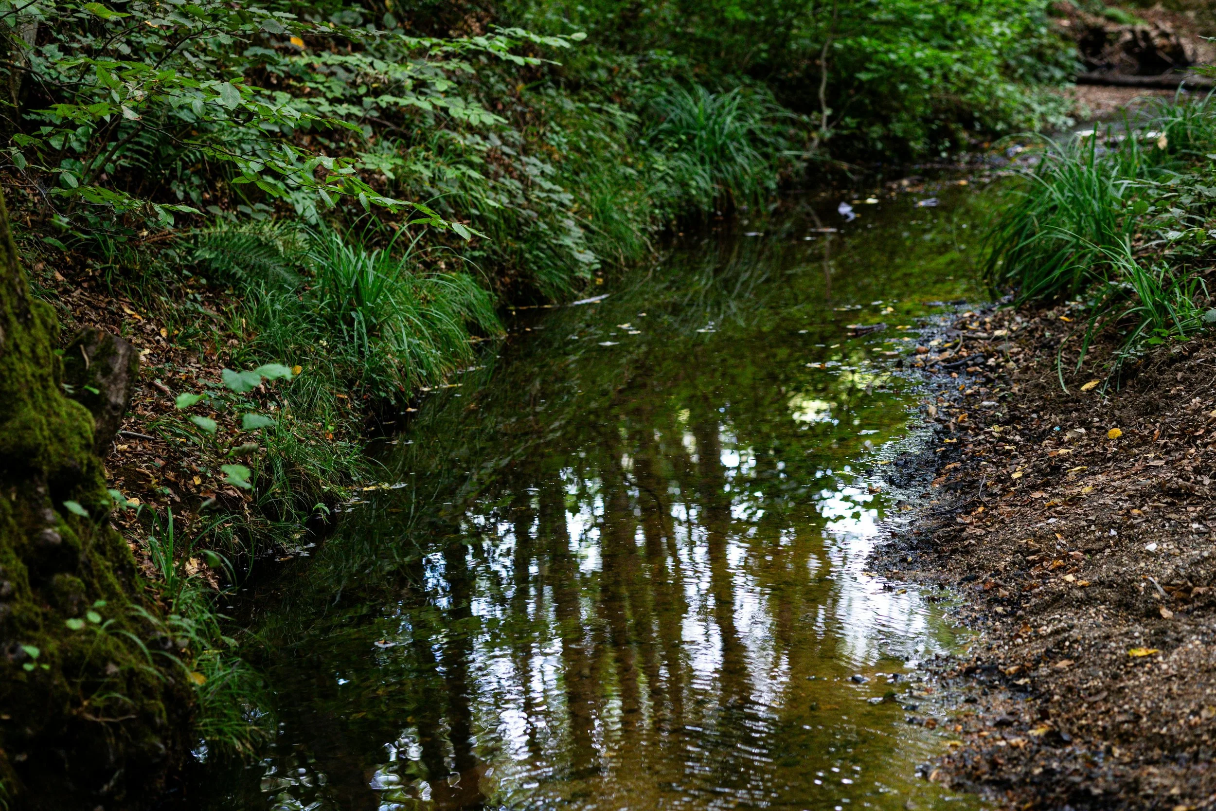 Stream Buffer Screening