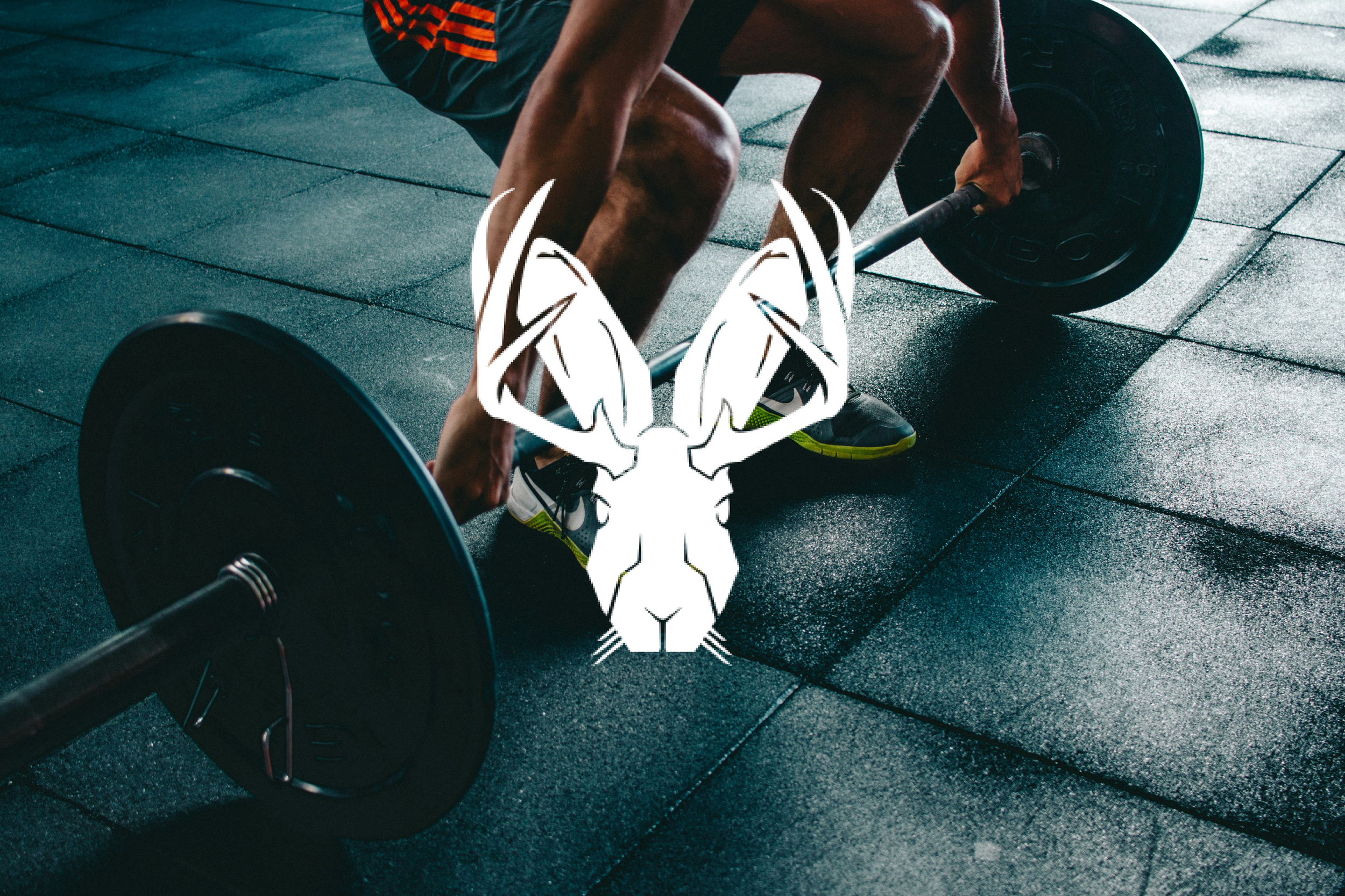 MYTH: Parkour & Movement