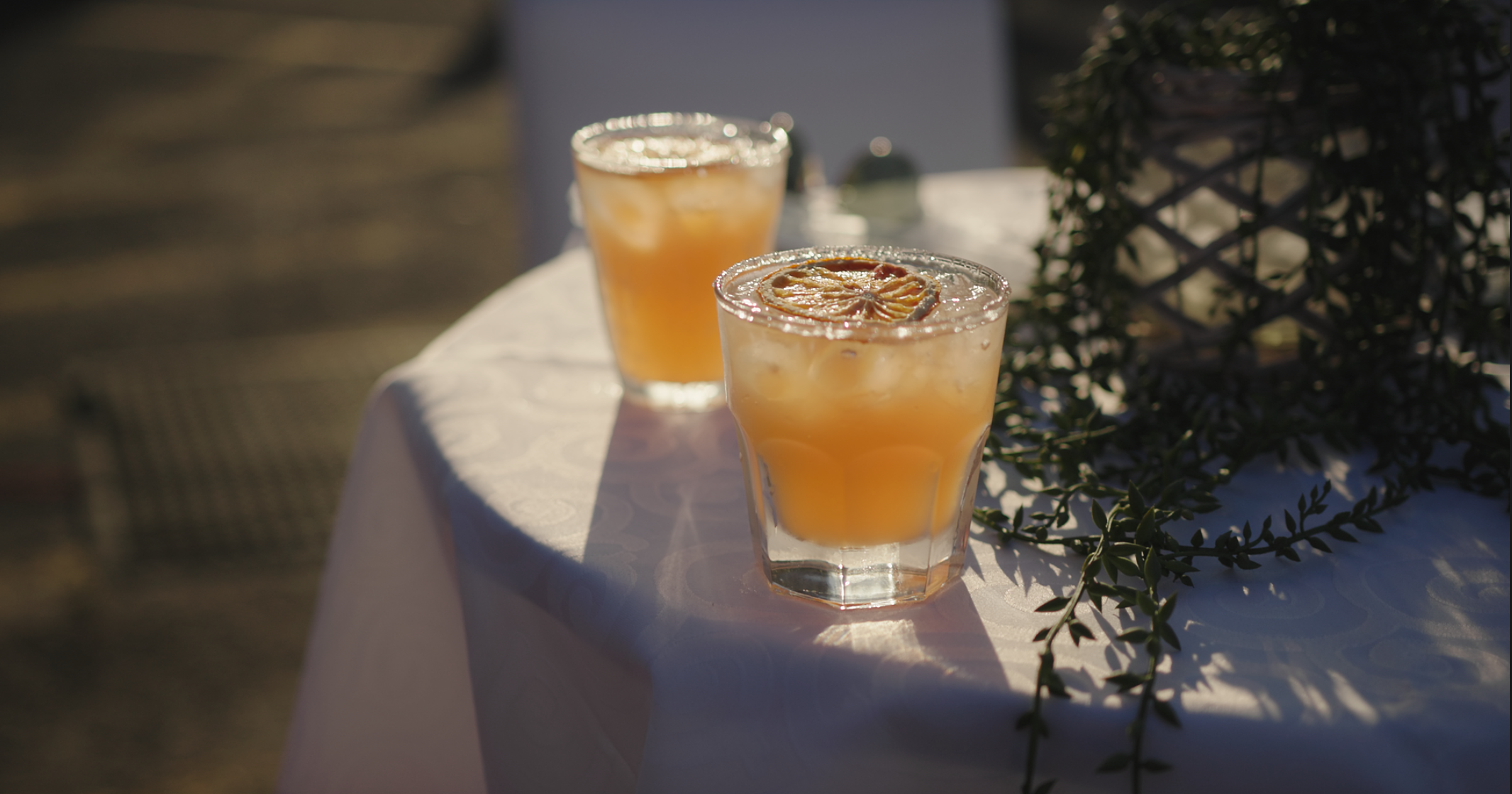 Screen Shot 2024-02-28 at 5.45.25 pm.png