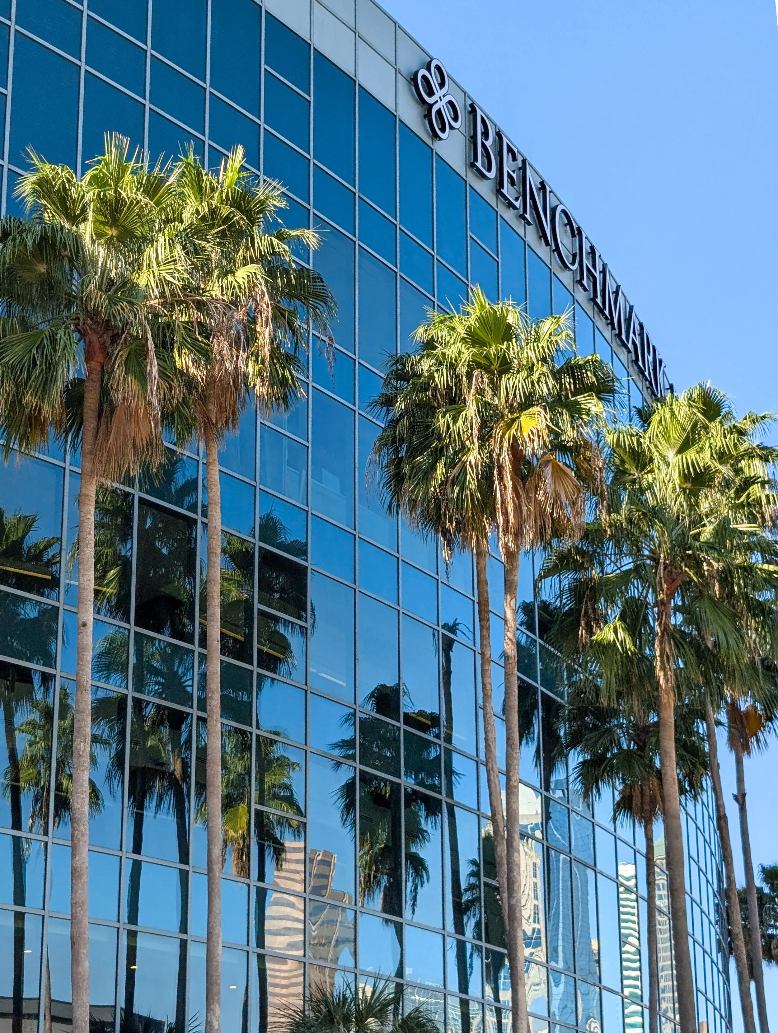 One side of the benchmark international stadium with palm trees in front