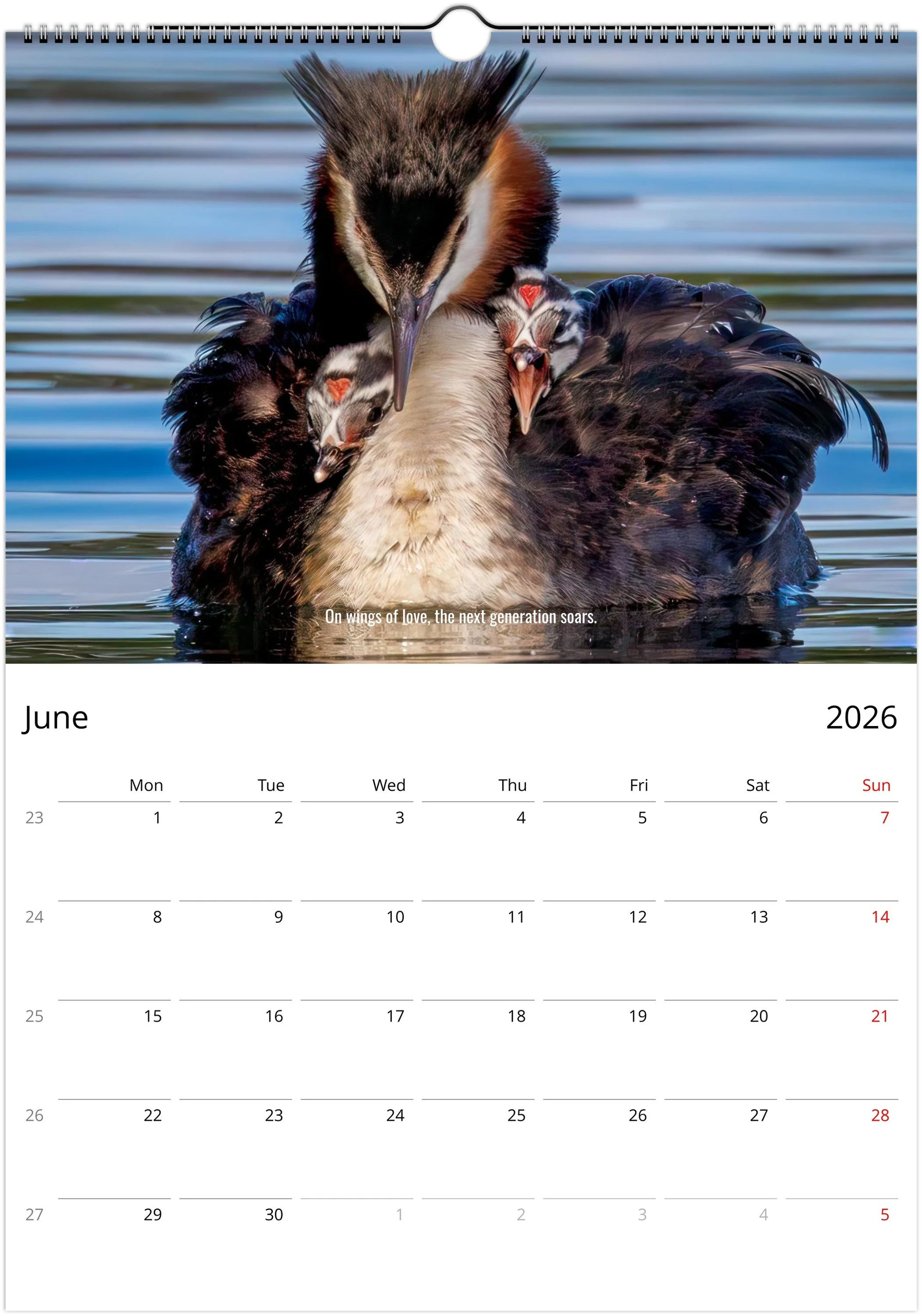 month-6.jpeg