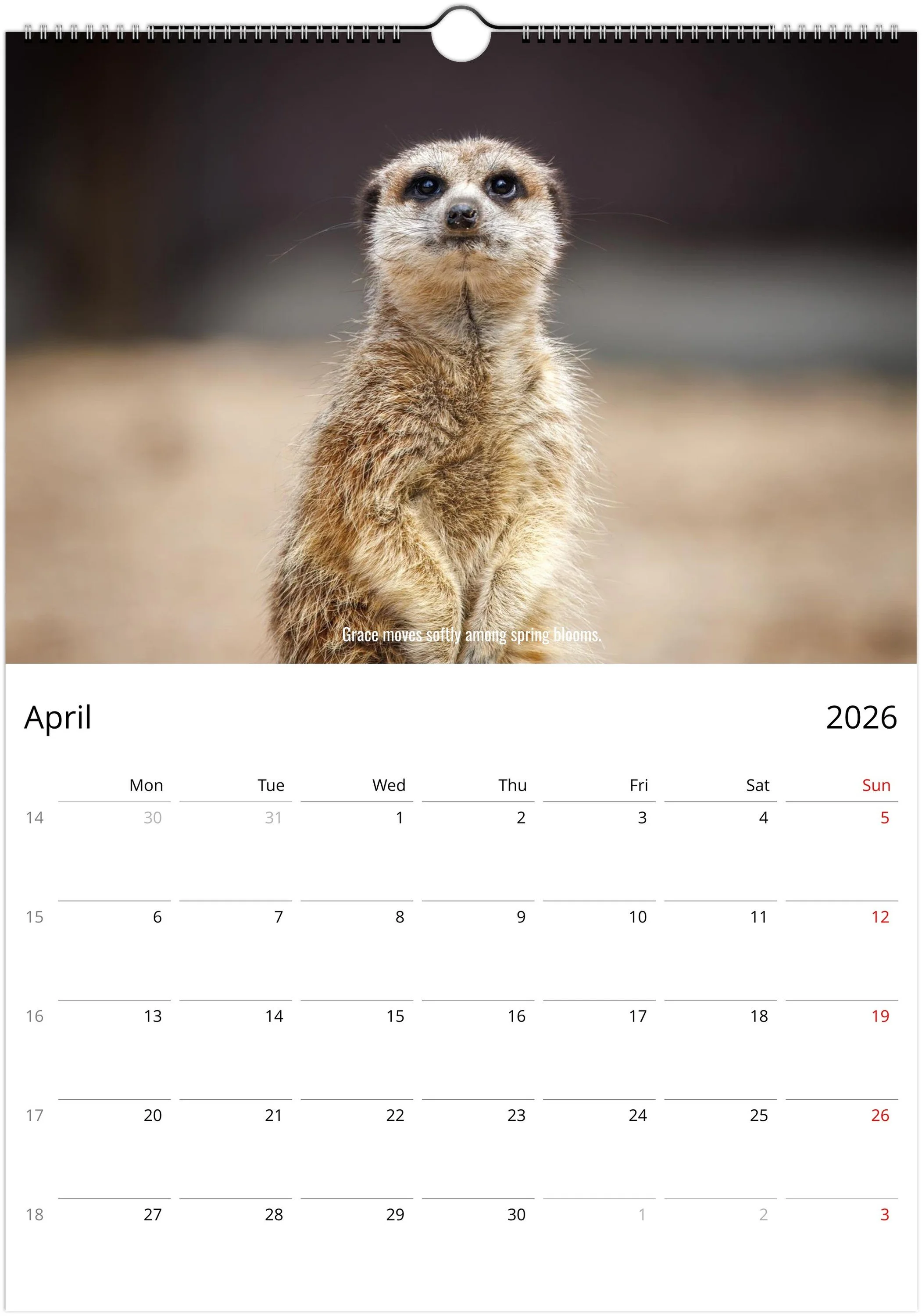 month-4.jpeg