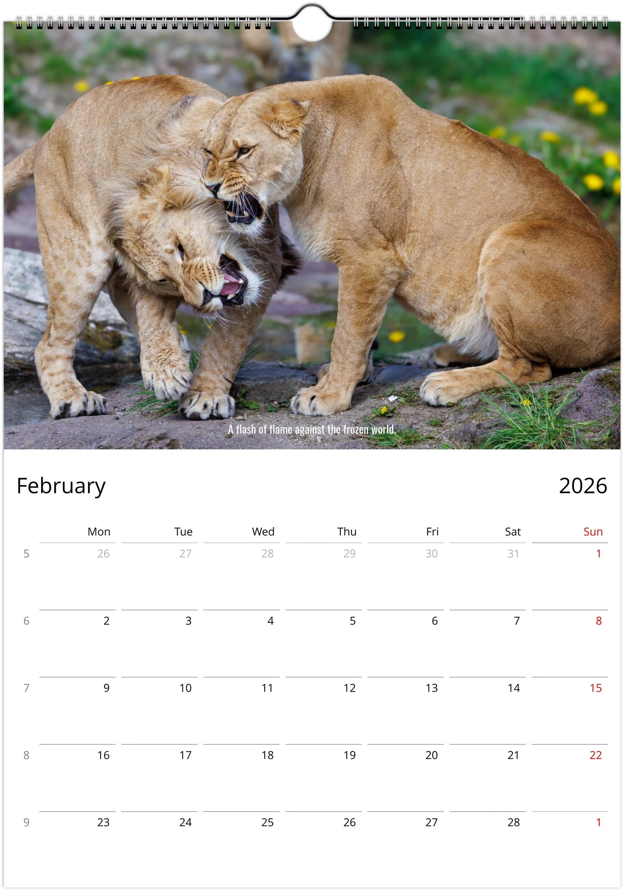 month-2.jpeg