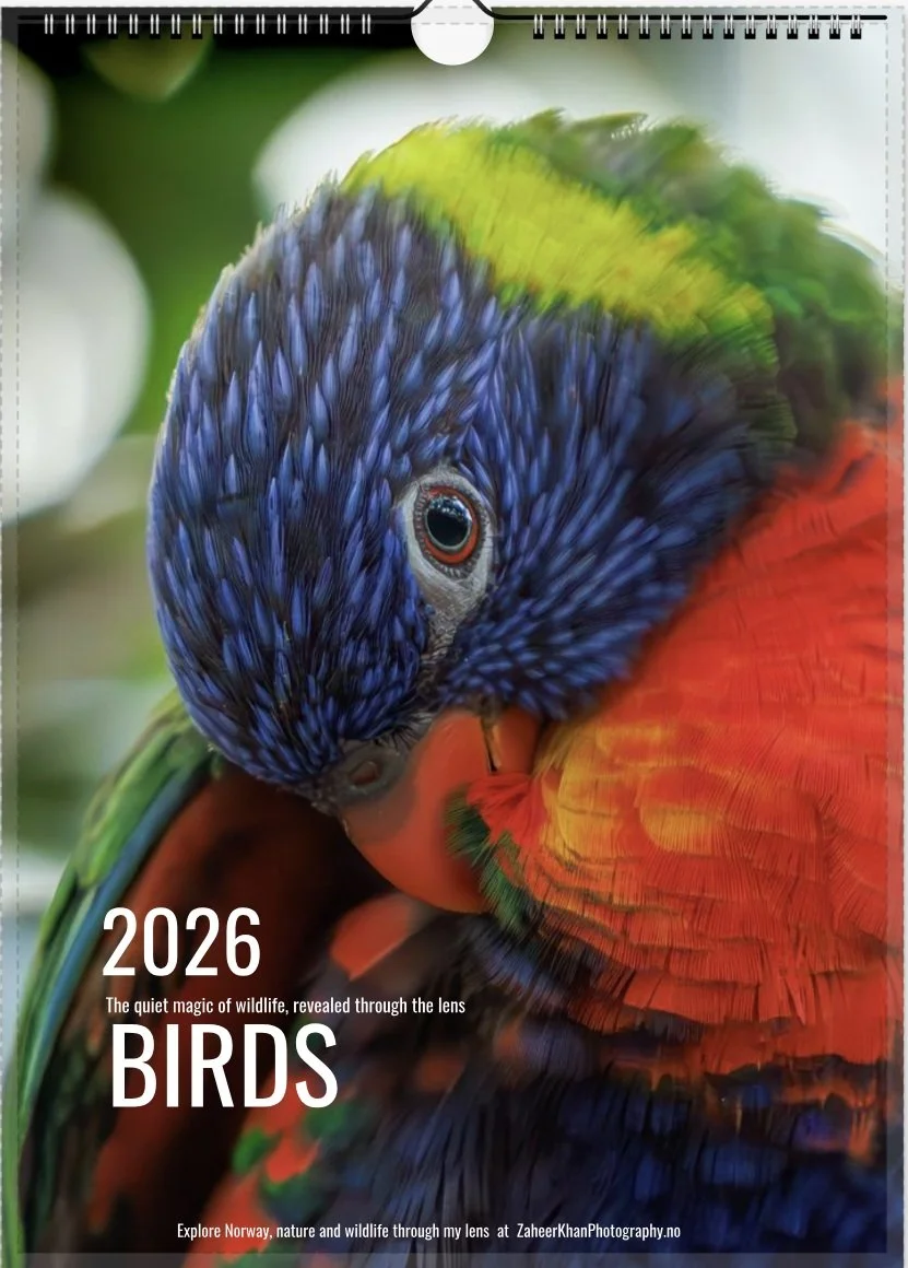 BIRDS CALENDAR 2026 zaheerkhanphotography.jpg