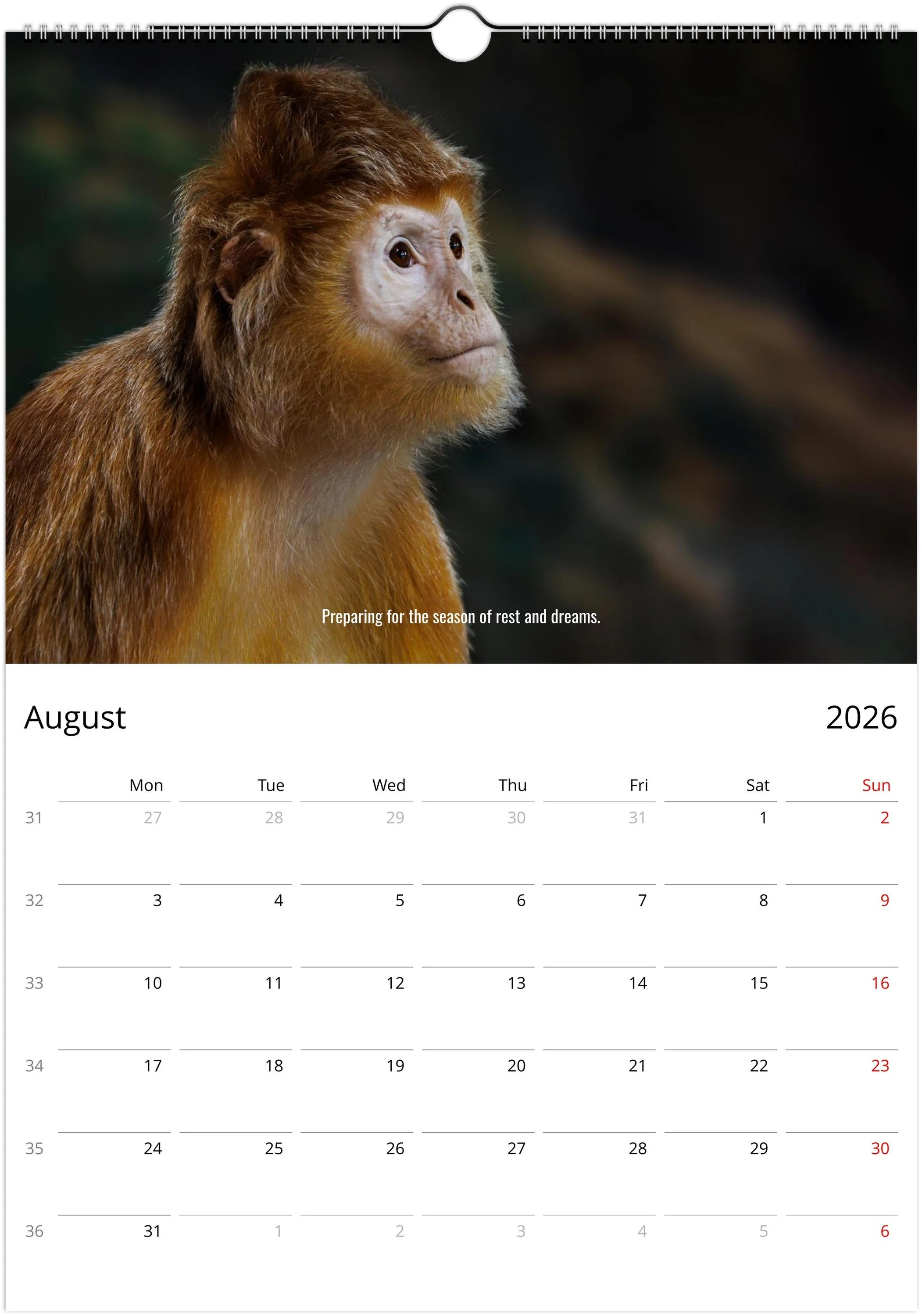 month-8.jpeg