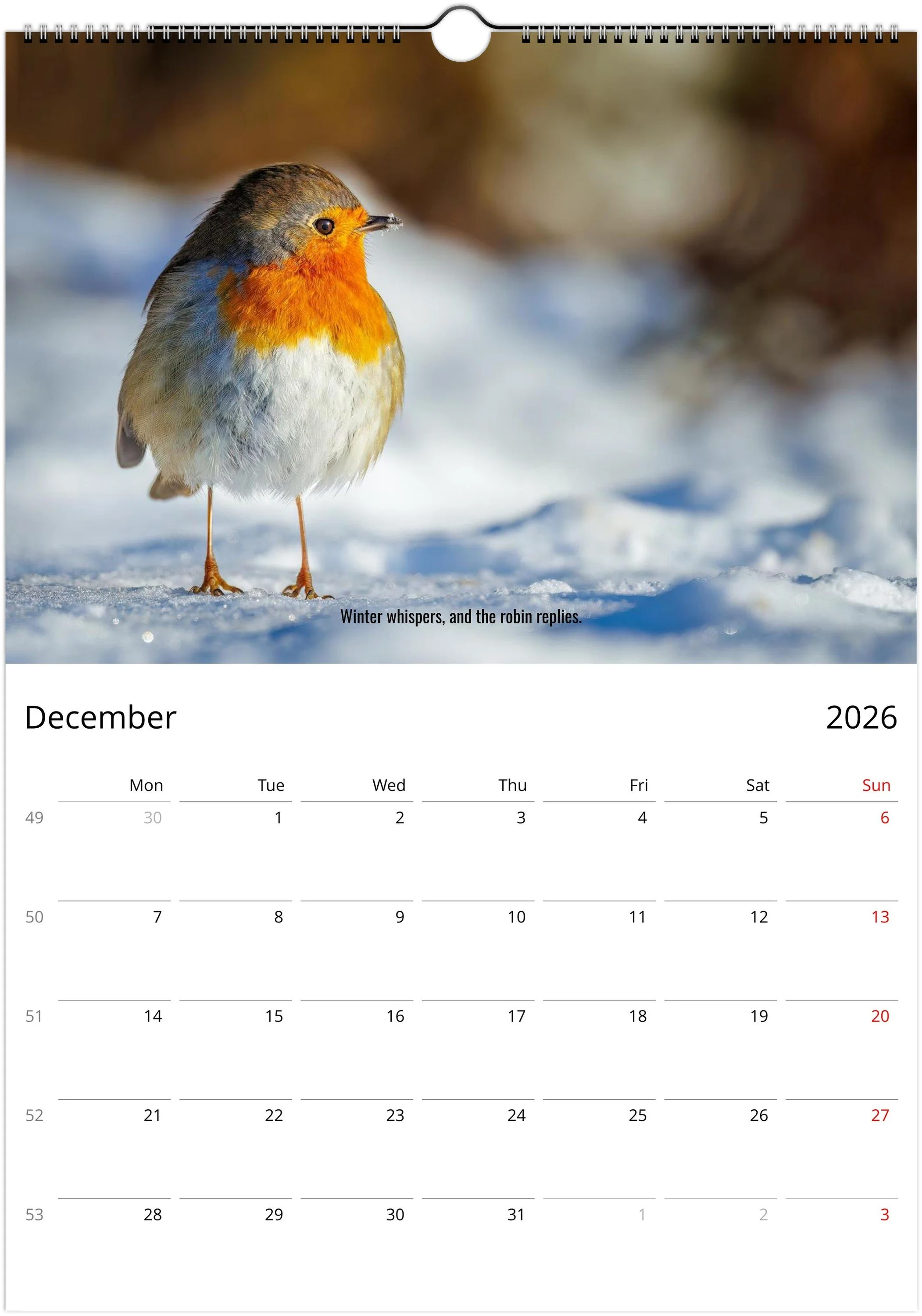 month-12.jpeg