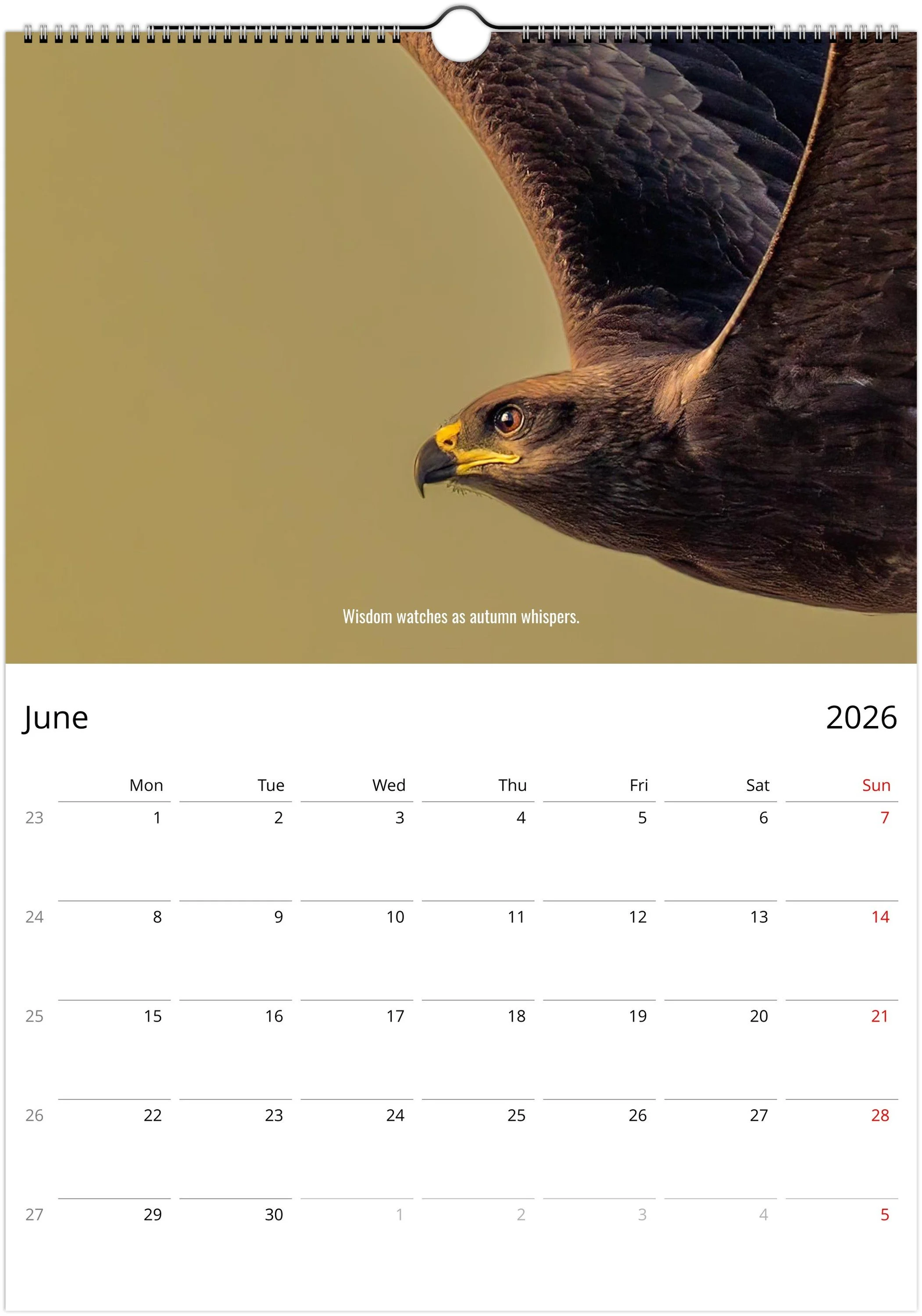 month-6.jpeg