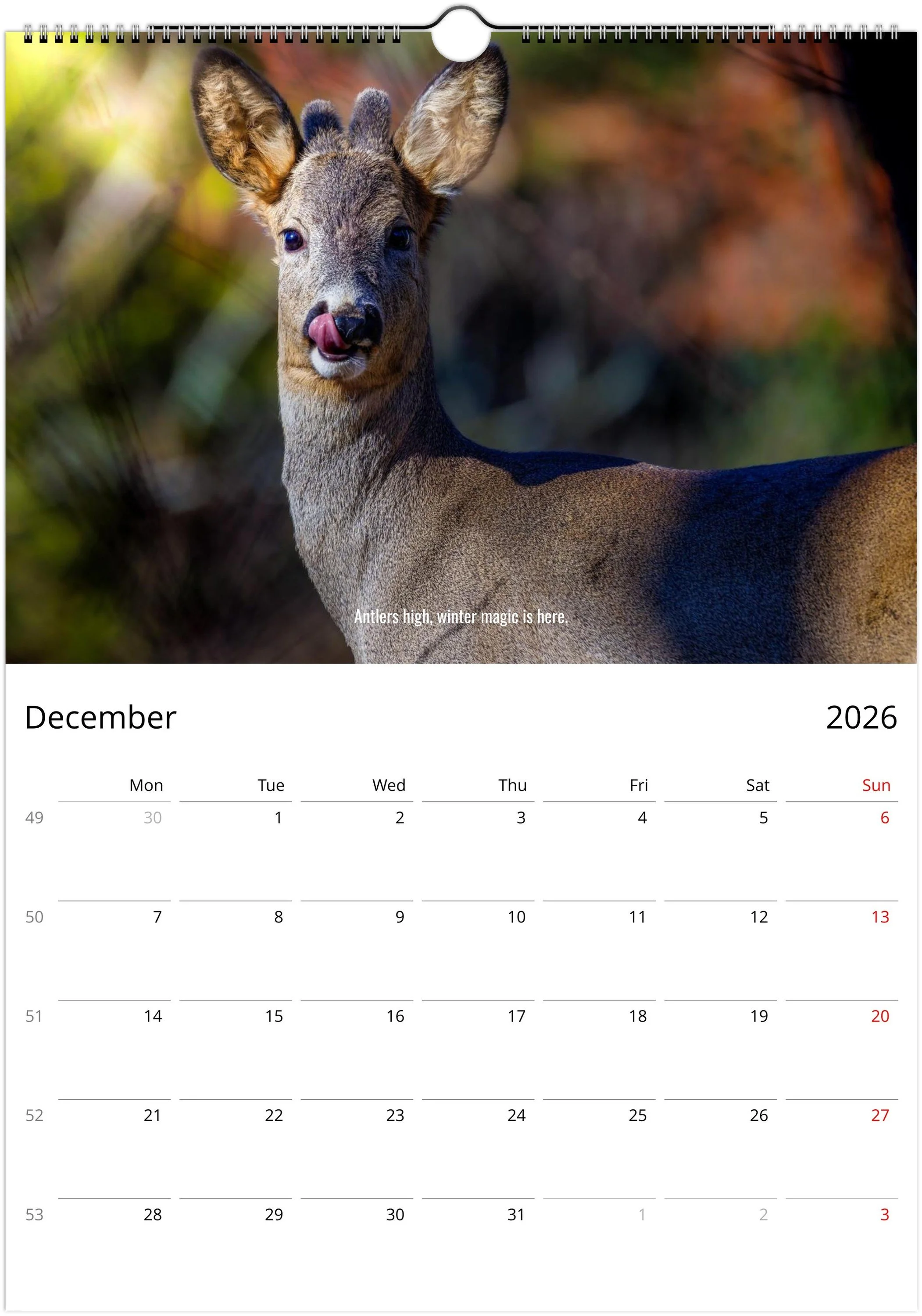 month-12.jpeg