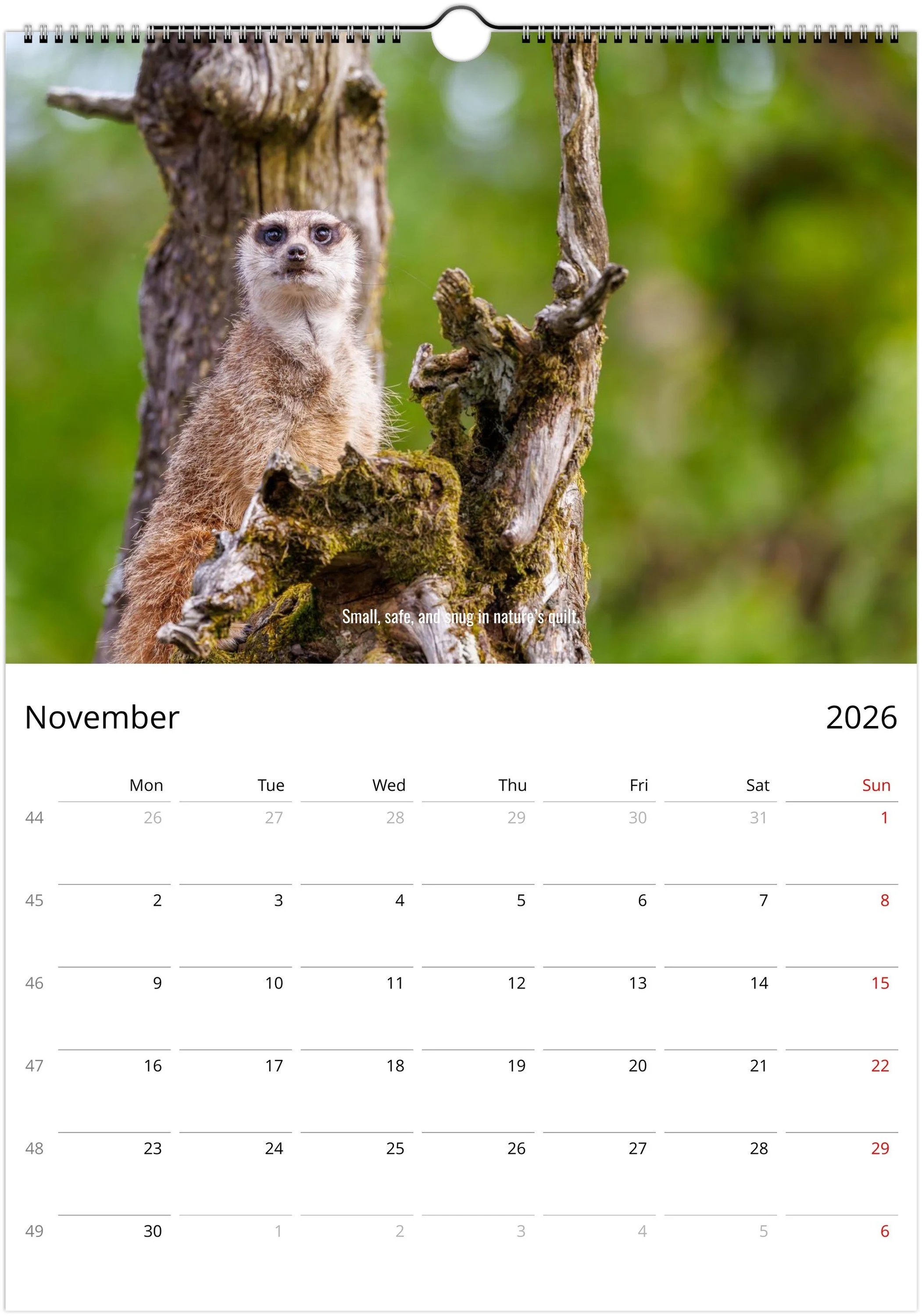 month-11.jpeg