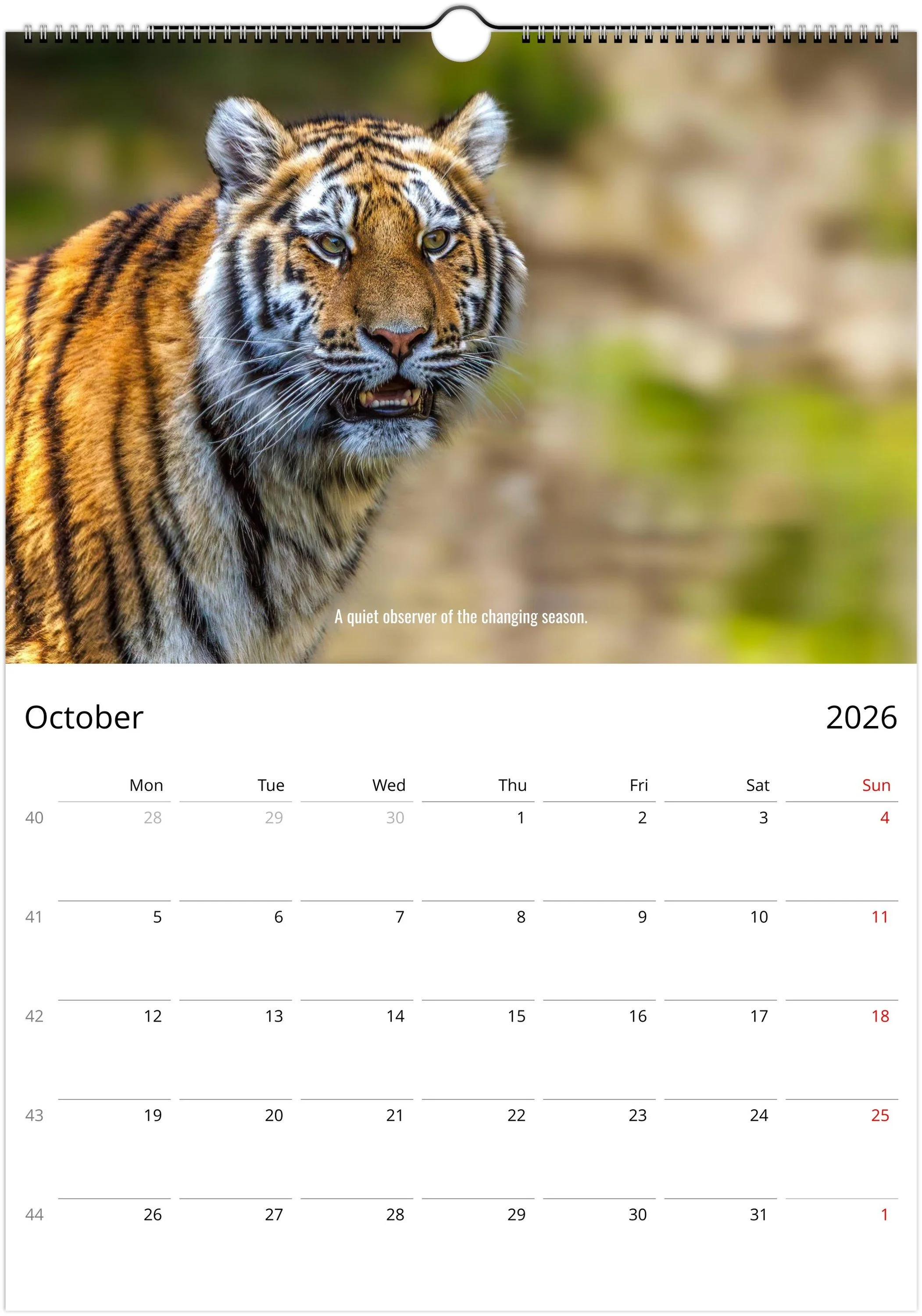 month-10.jpeg