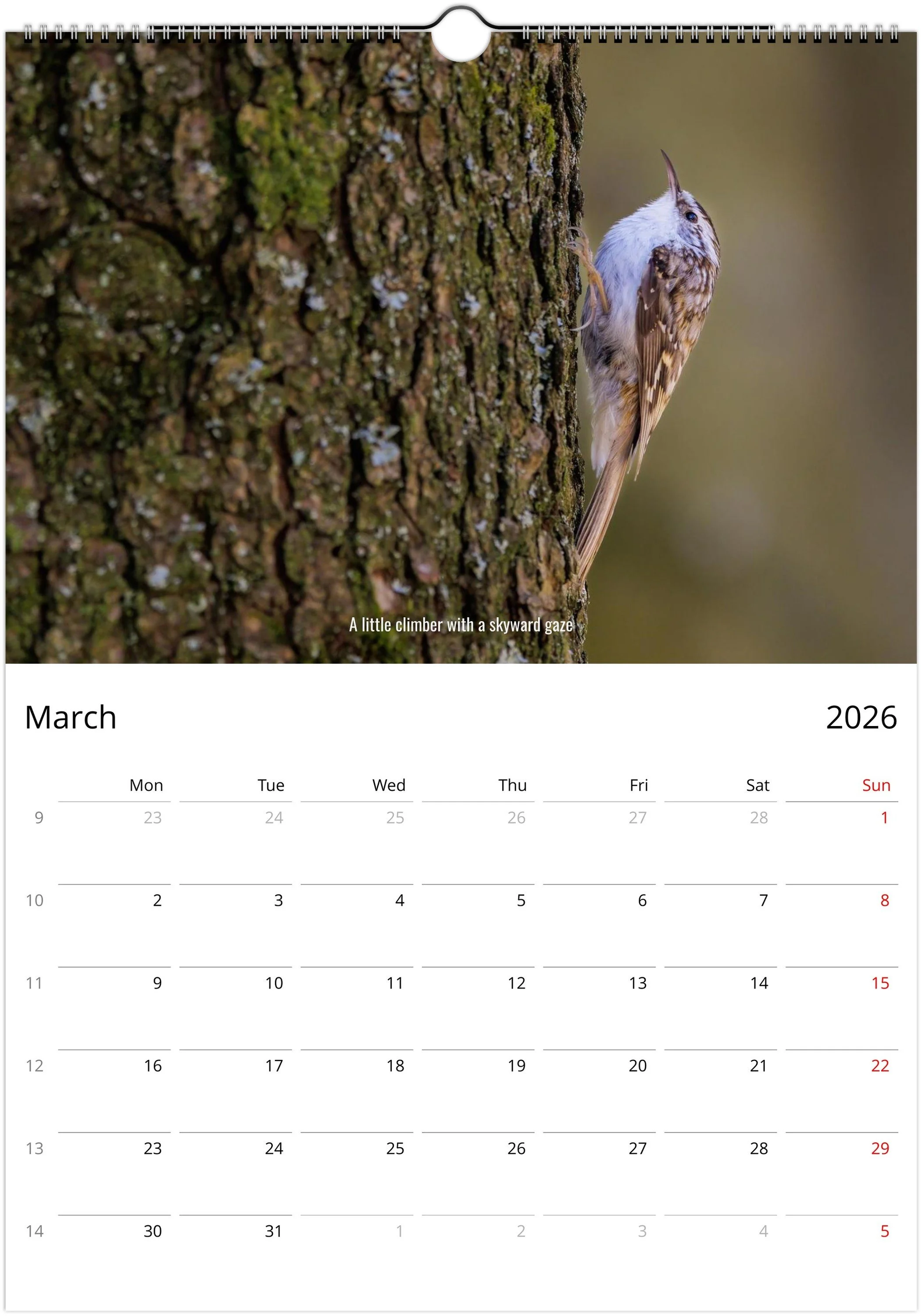 month-3.jpeg