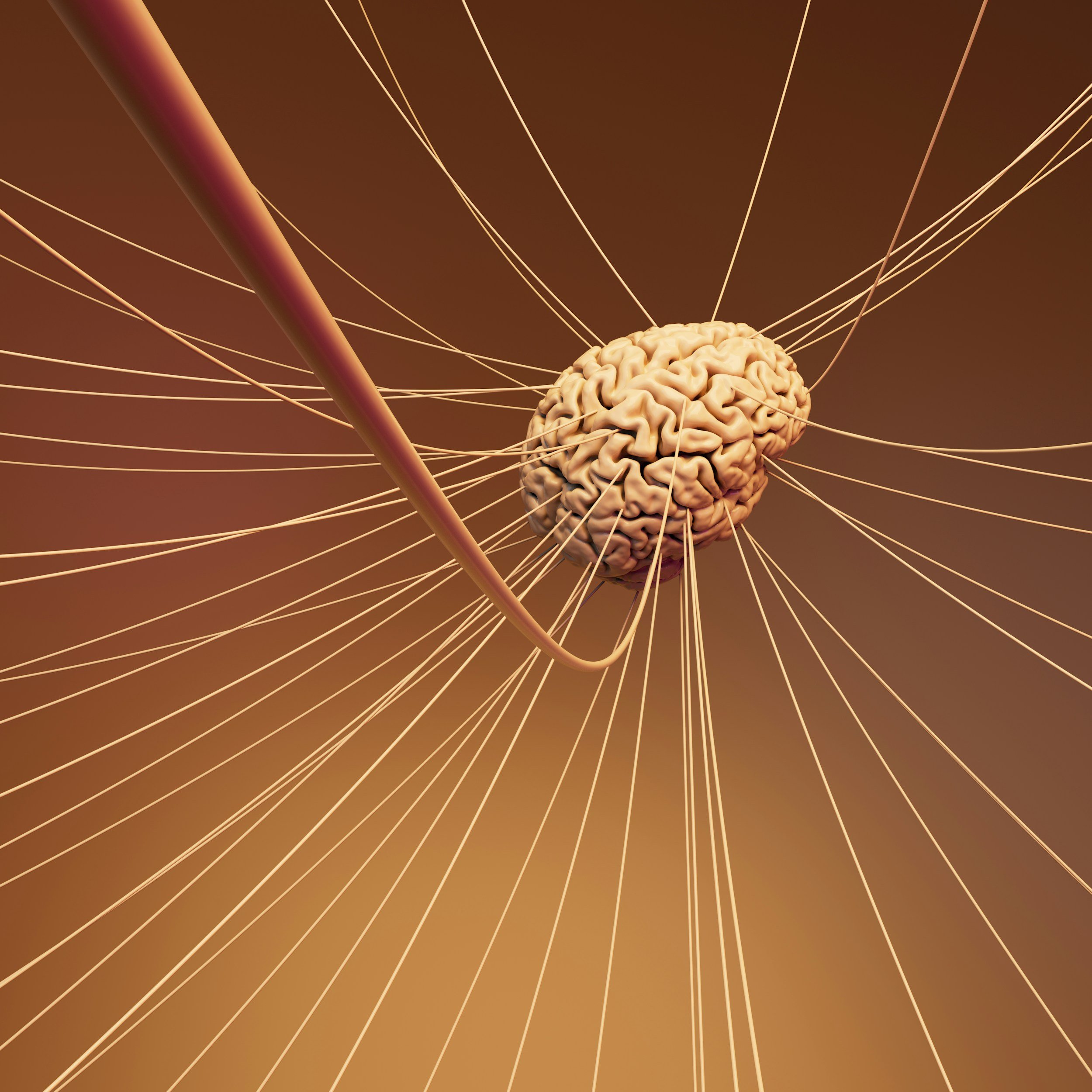 Why Your Nervous System Holds the Key to Emotional Freedom