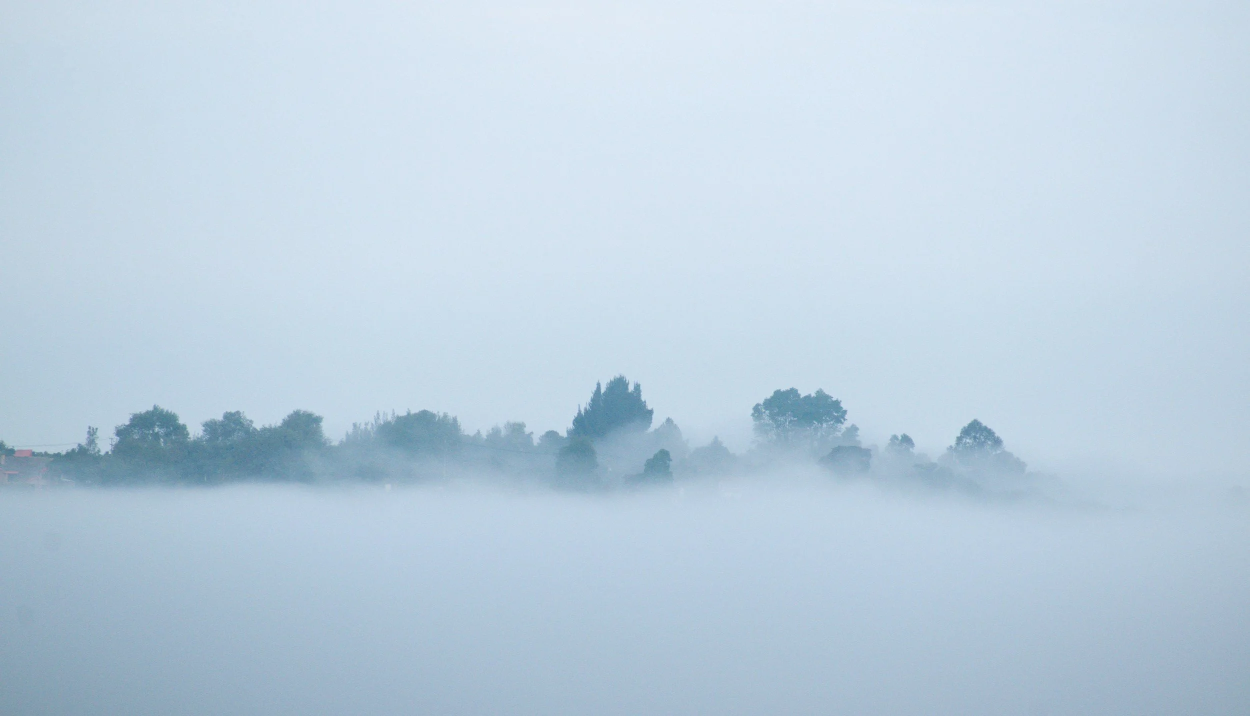 What thoughts were mental noise vs. useful data?