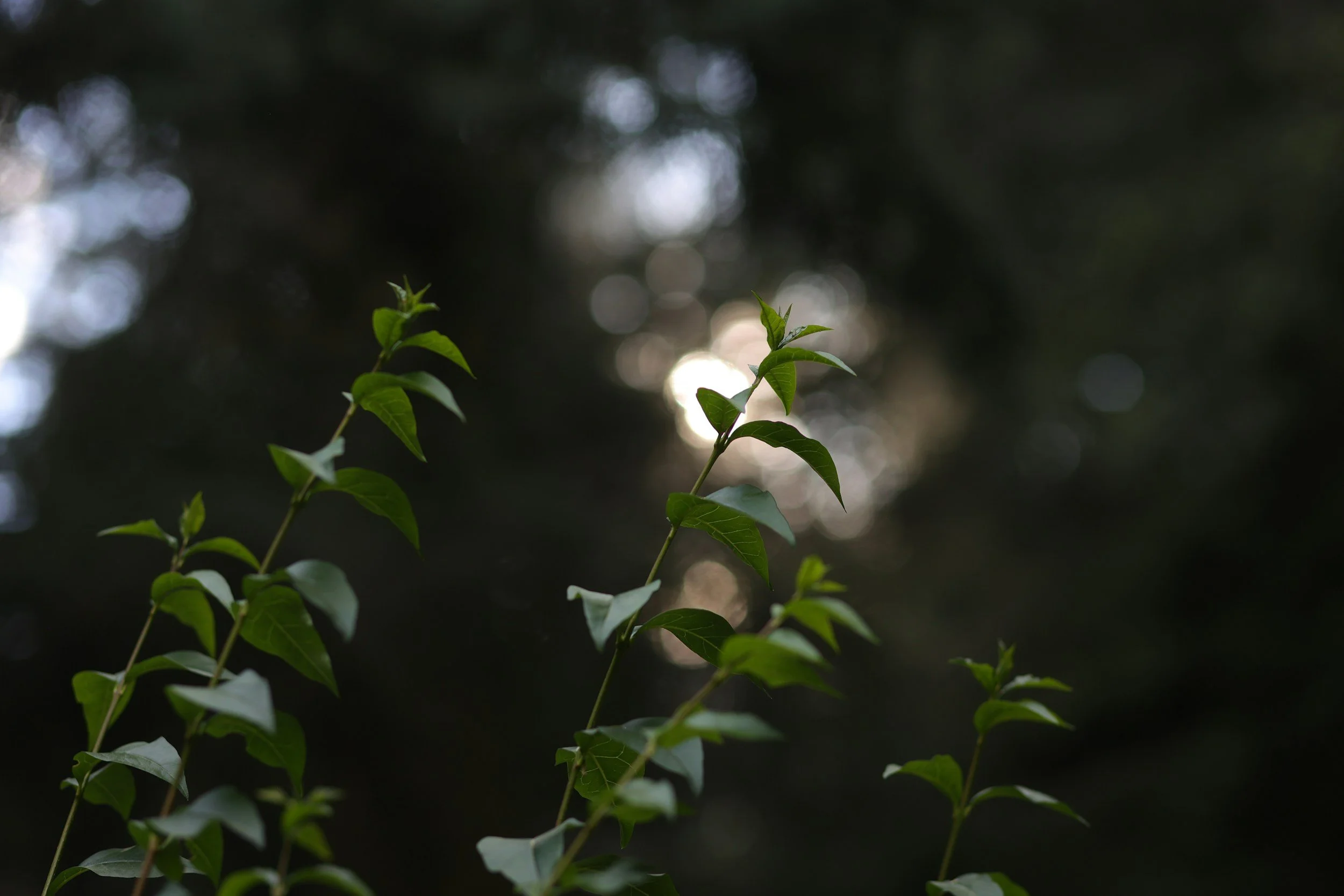 What belief is outdated and ready to be replaced?