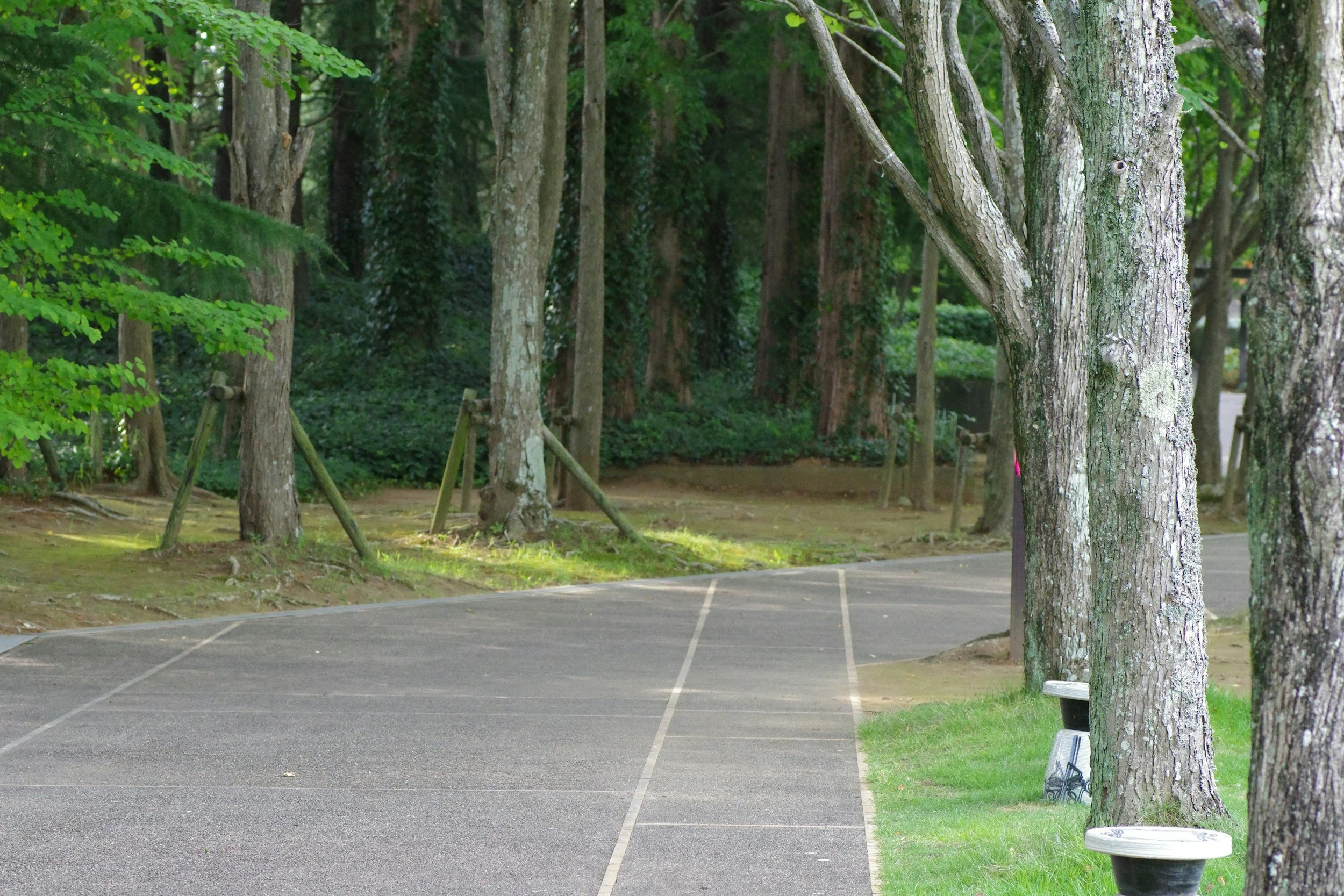 What pattern do I want to study in myself this week?