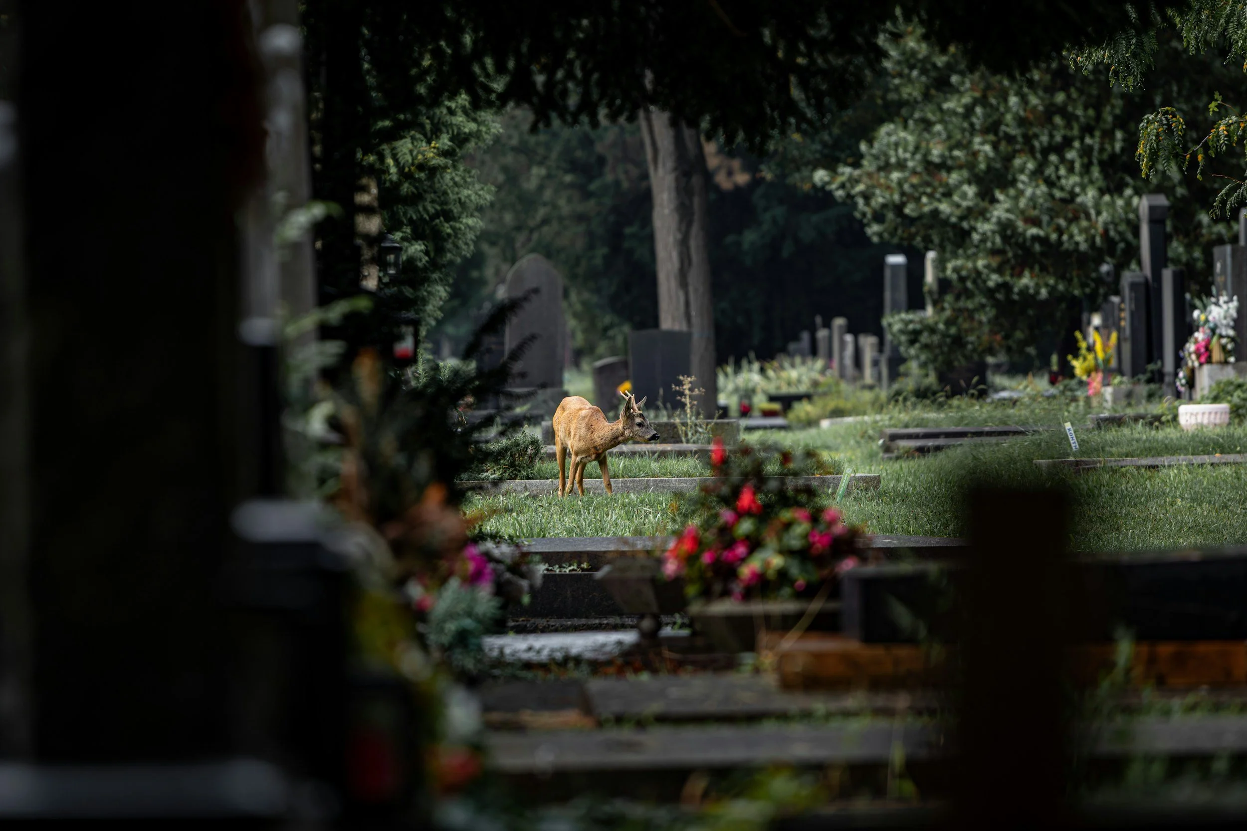 What can I normalize instead of judge?