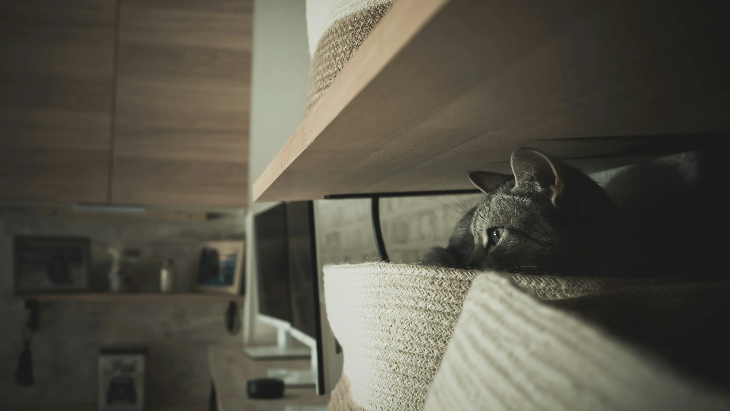 Where can I avoid emotional overconsumption?