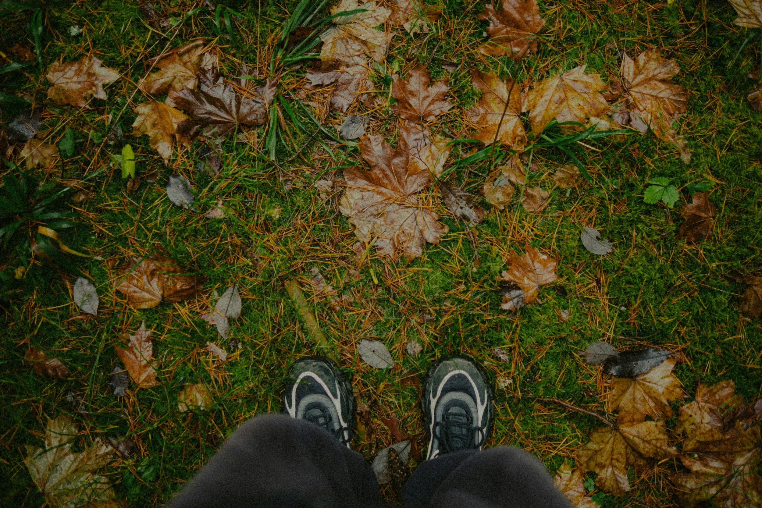 What is the most important thing my brain is trying to signal?