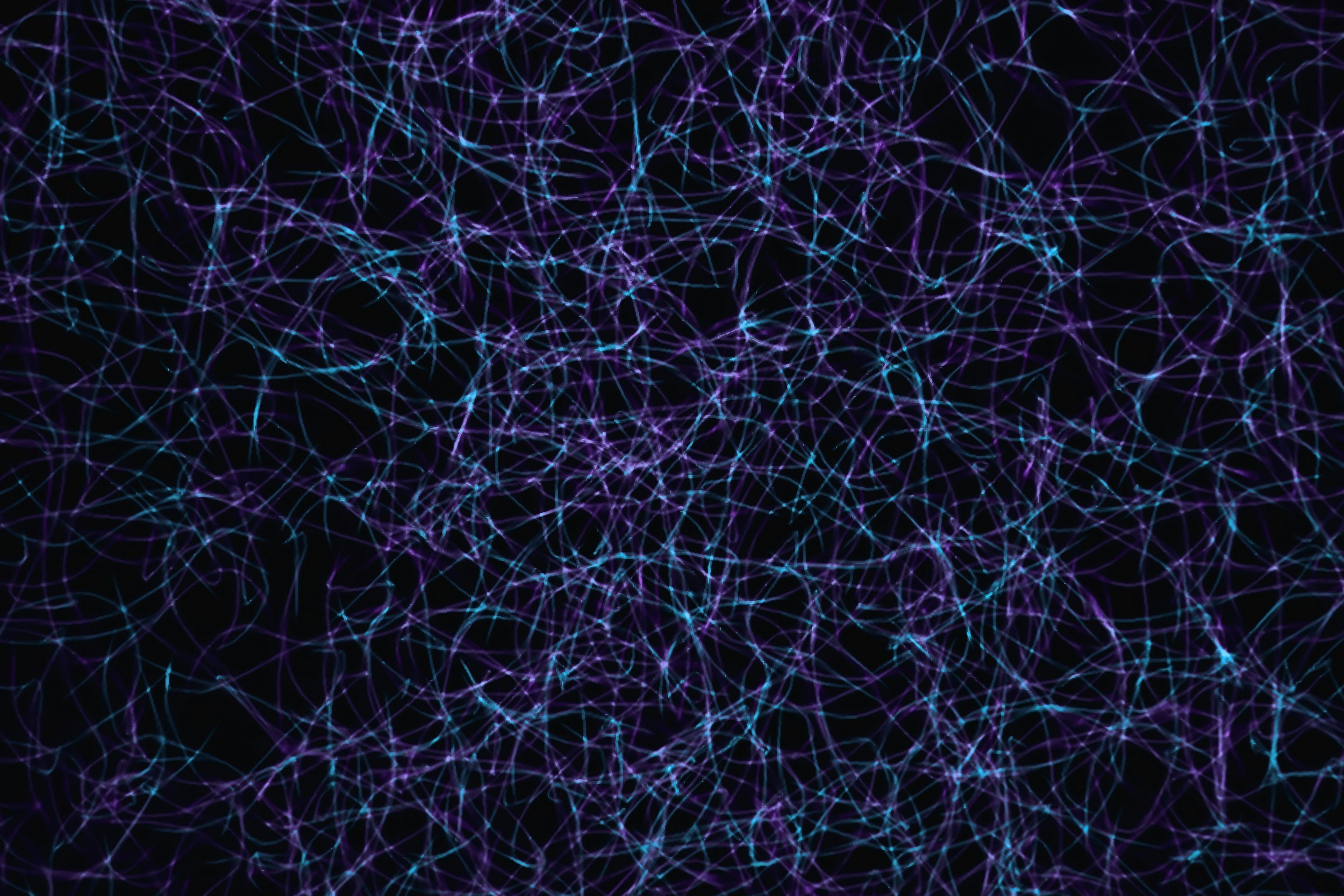 The Science Behind Streaks, Rewards, and the Brain