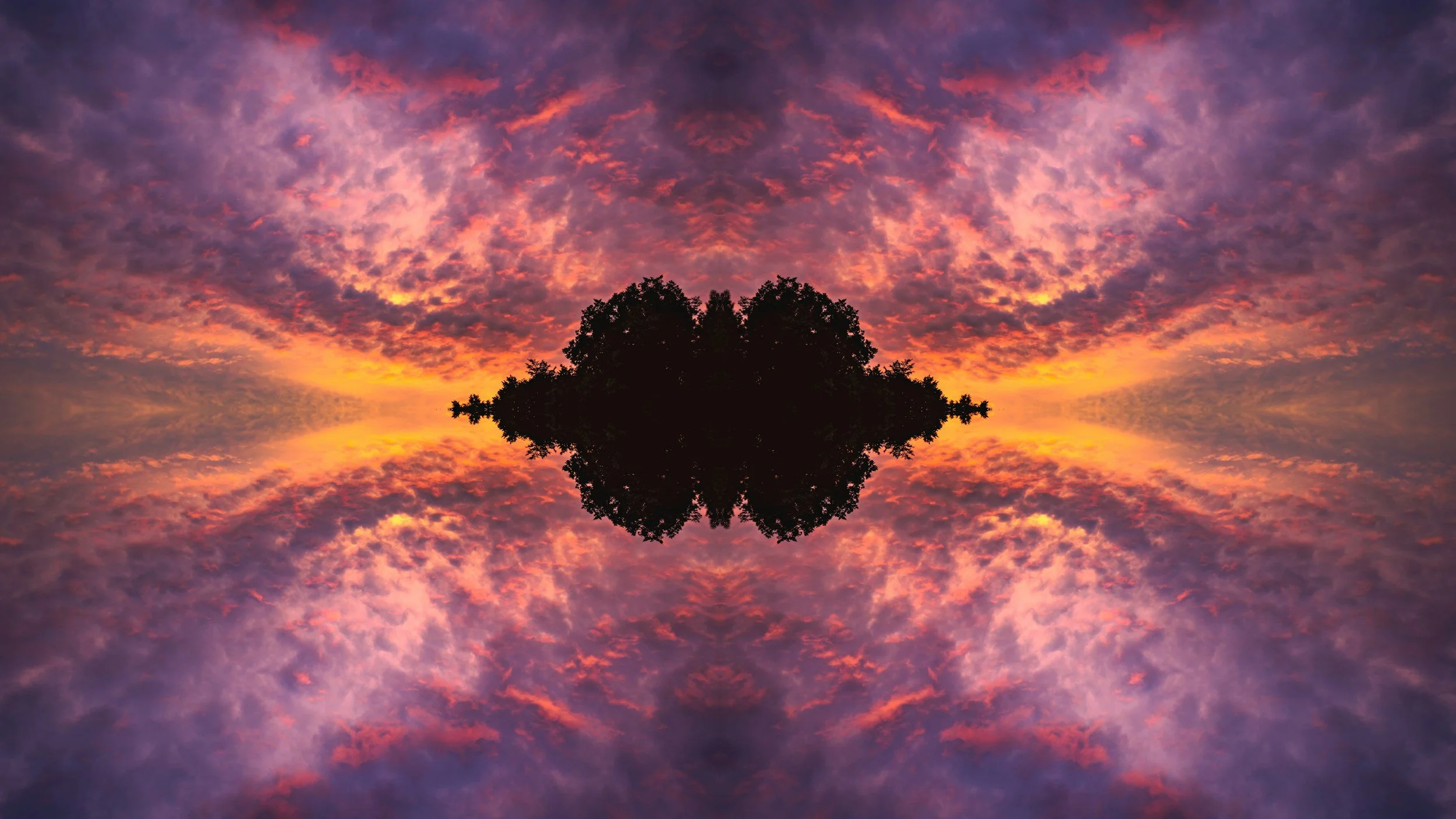 ADHD and the Window of Tolerance