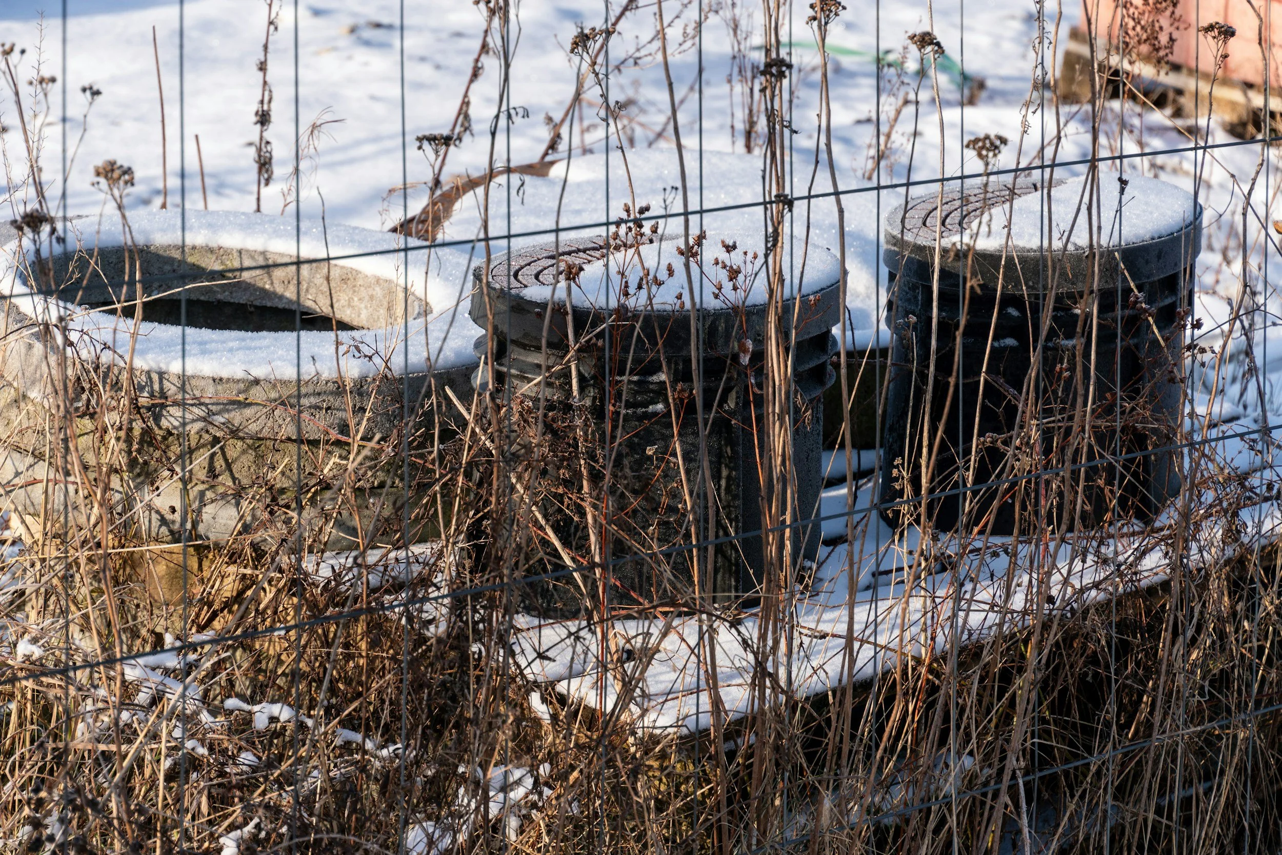 Tolerance, Dopamine, and ADHD Medications