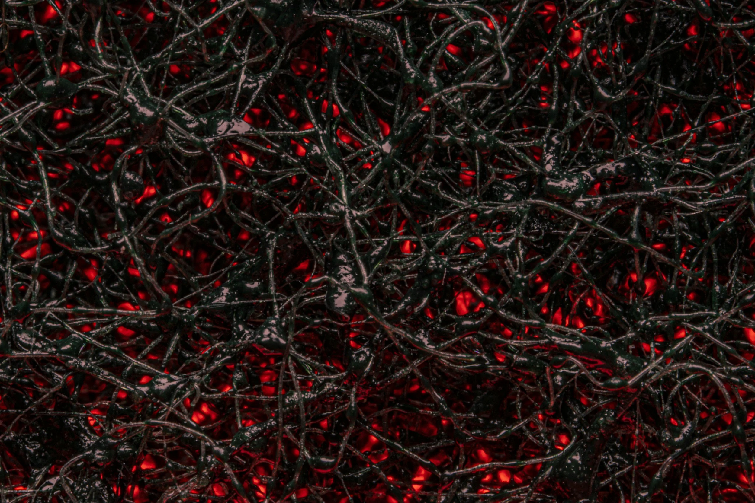 How the Brain Chooses Survival Over Logic