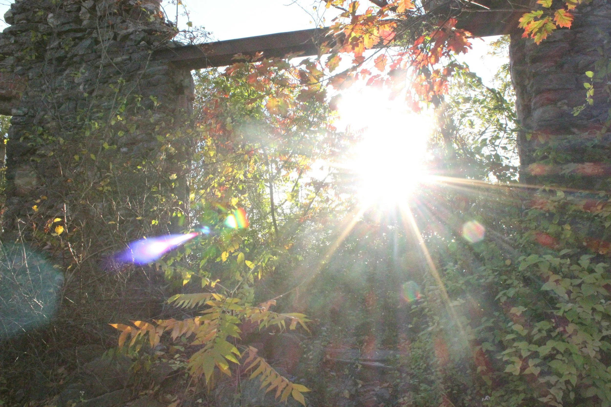 Why Your Energy Drops at the Same Time Every Day