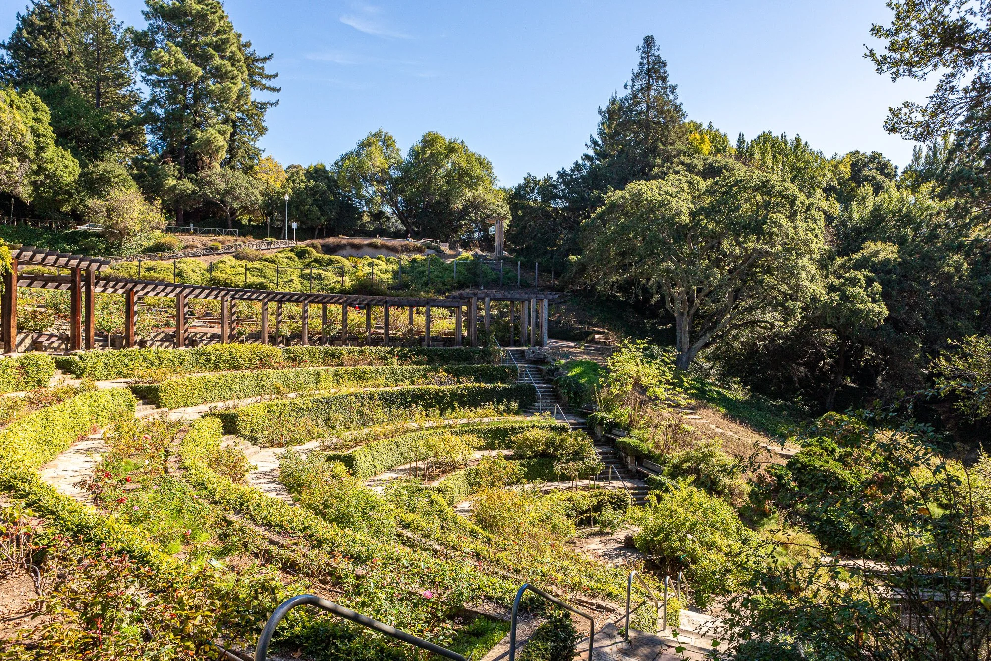 A landscaped hillside garden with terraced levels, pathways, a pergola, and trees under a clear blue sky.