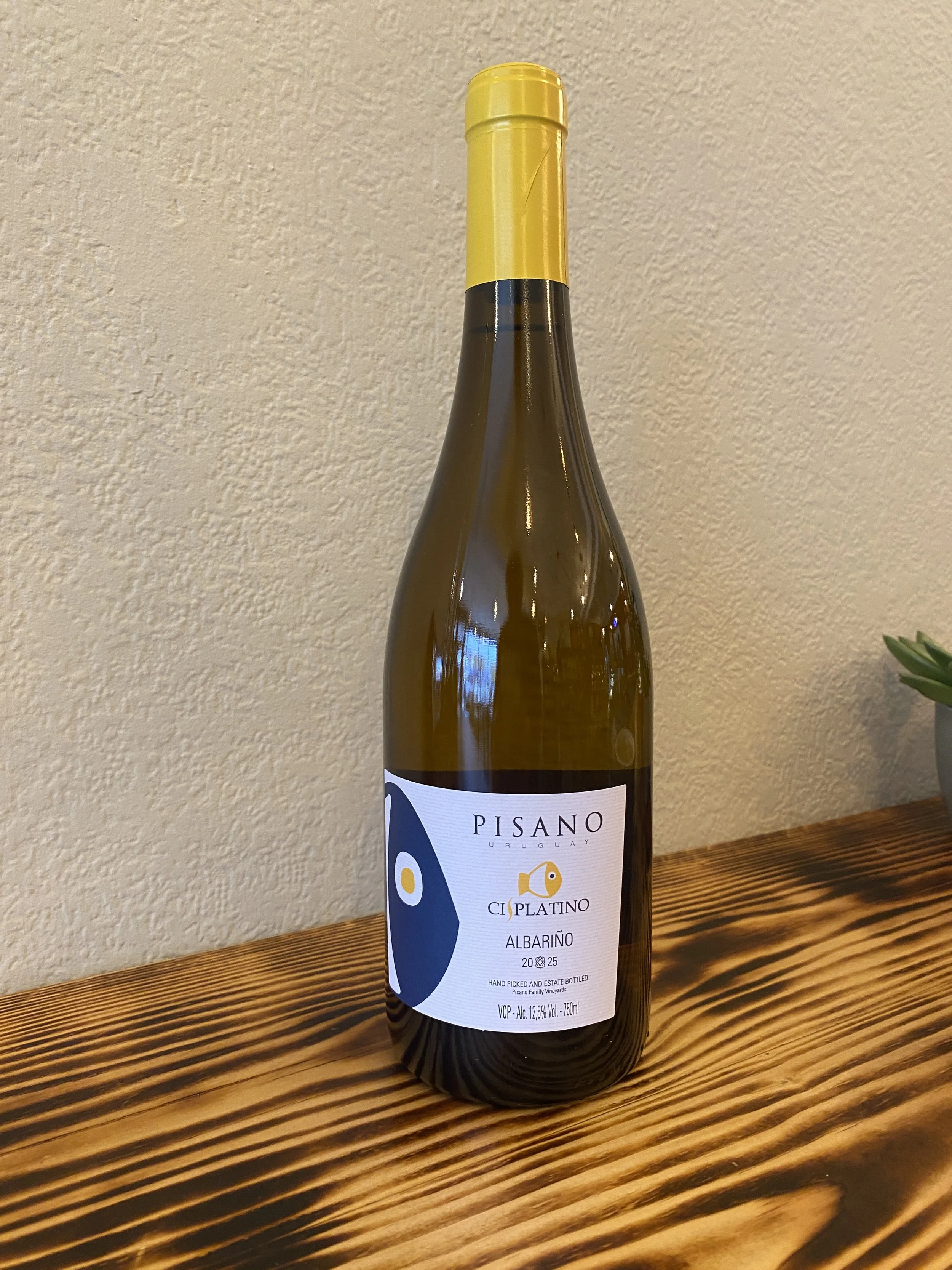 Pisano Cisplatino Albarino