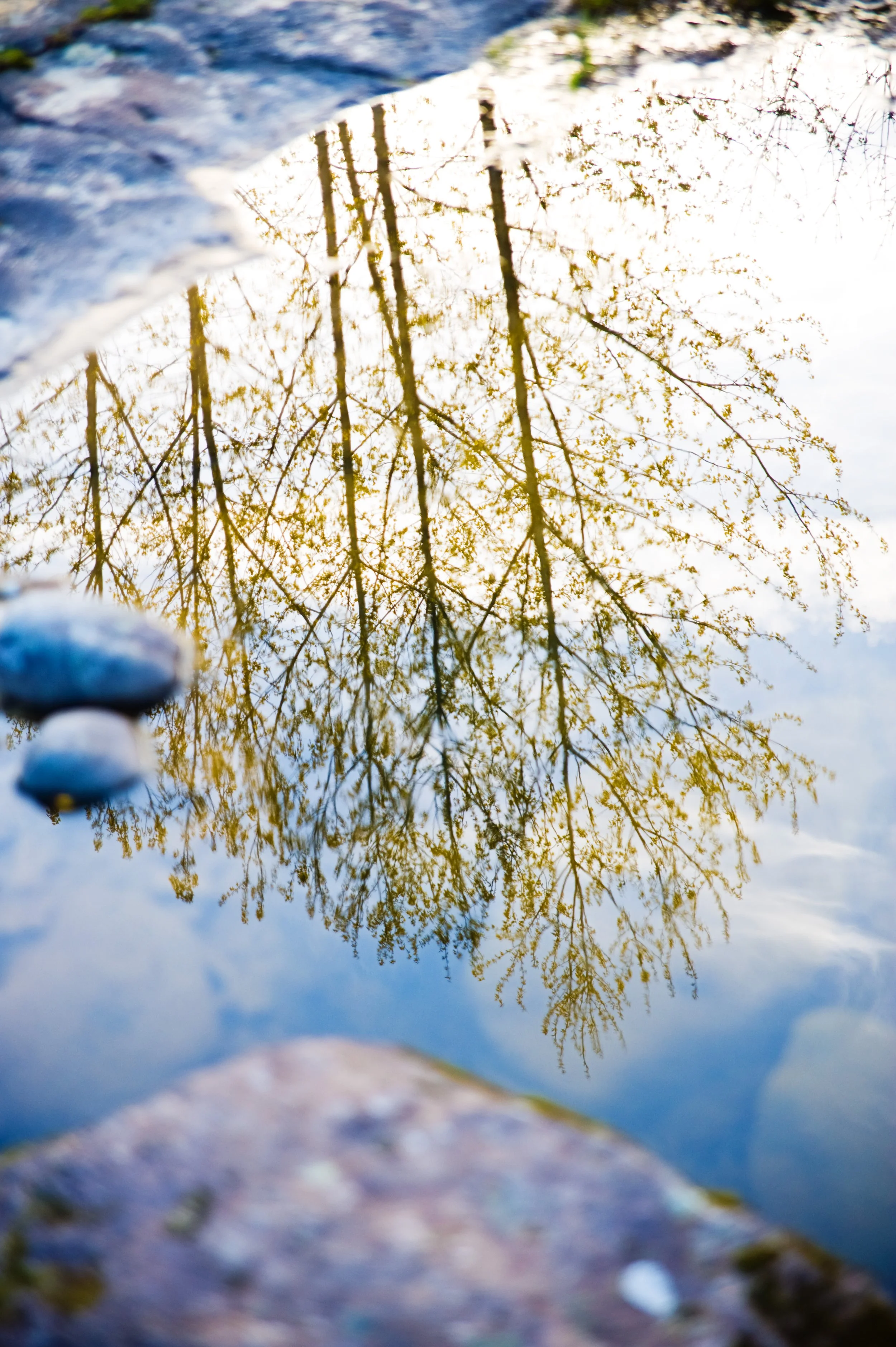 Reflection