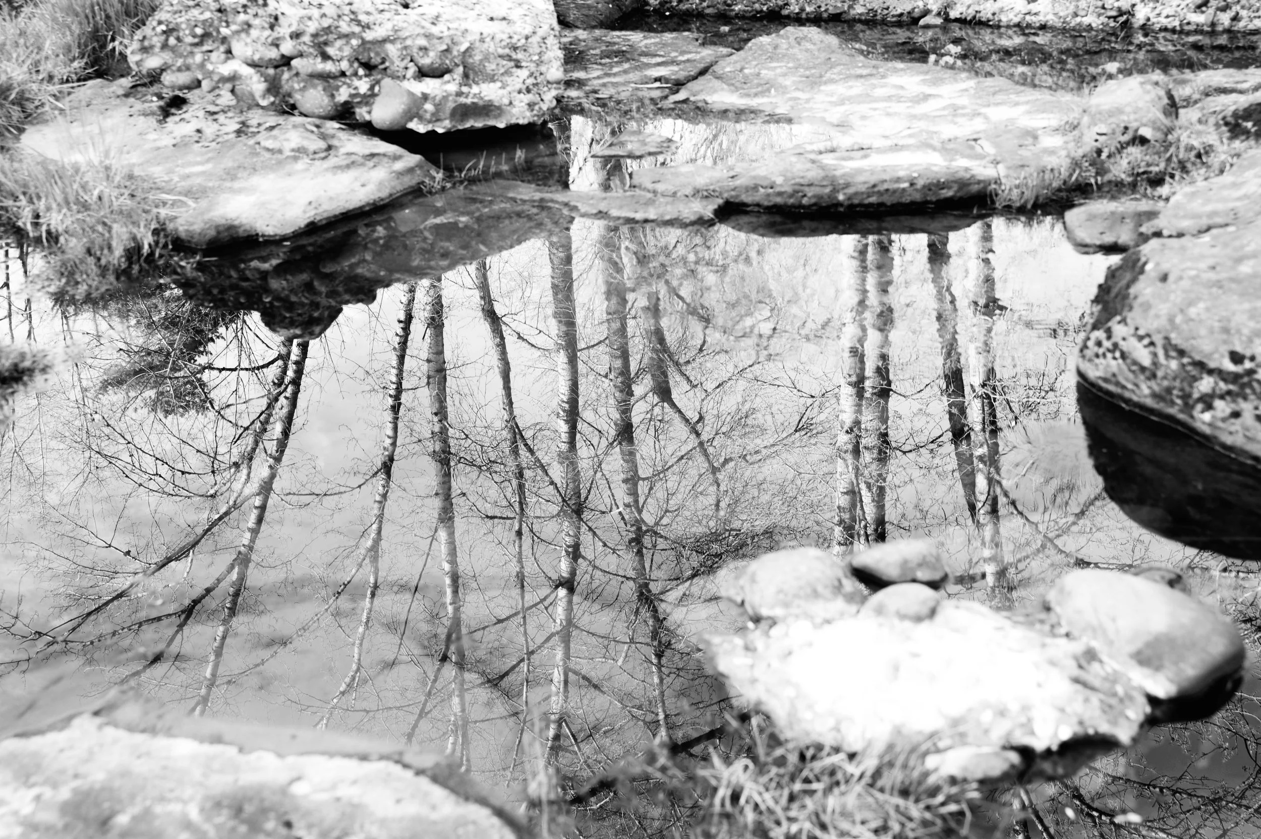 Reflection BW