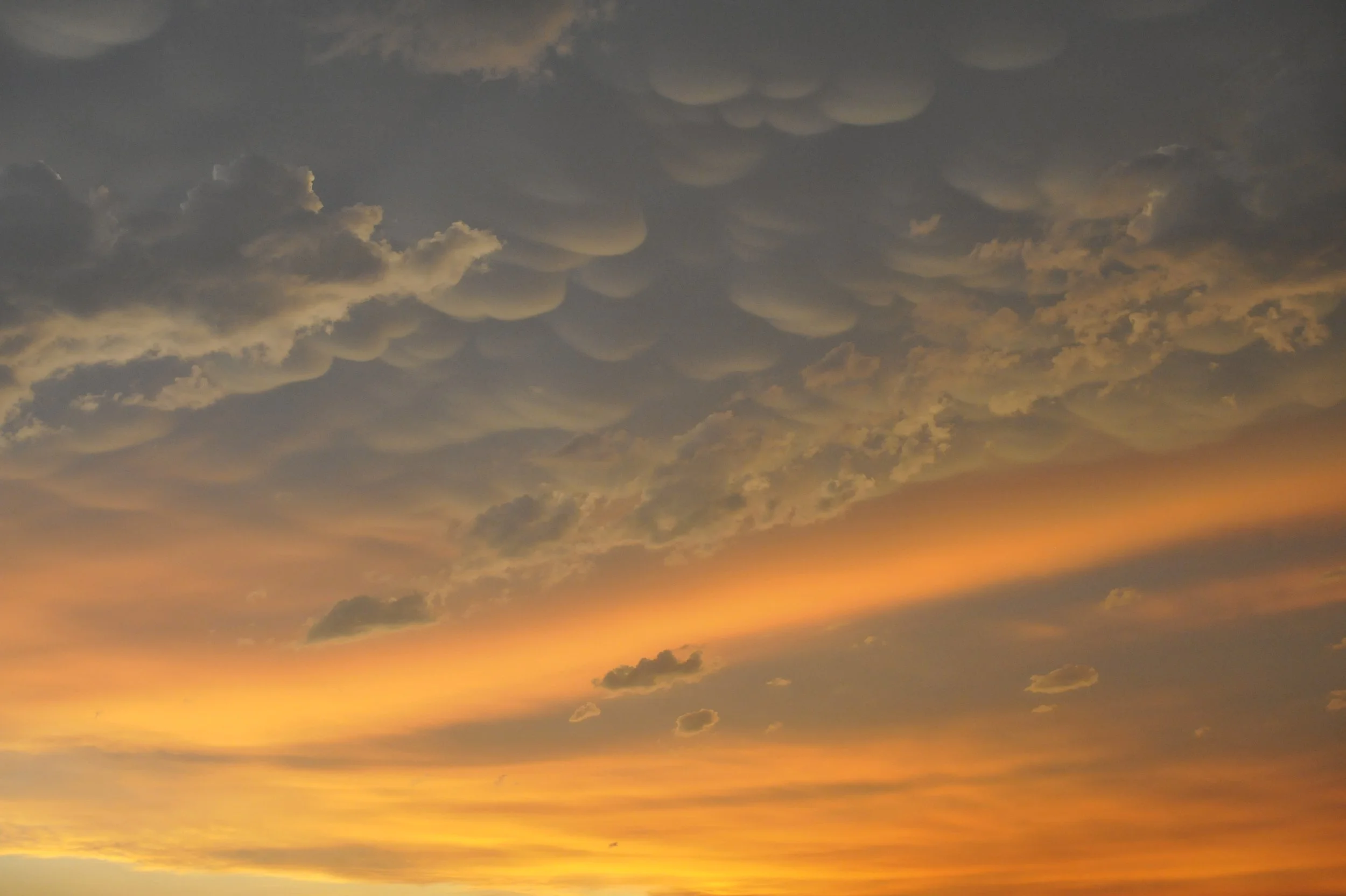 Heaven's Cotton Fire