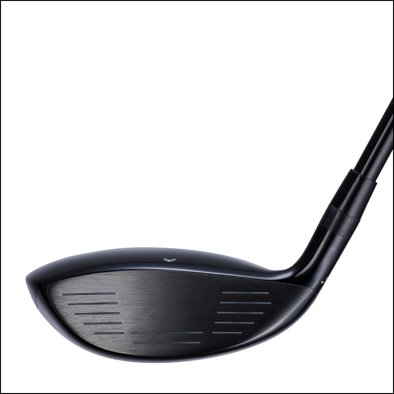 St Regis - Fairway Face.png