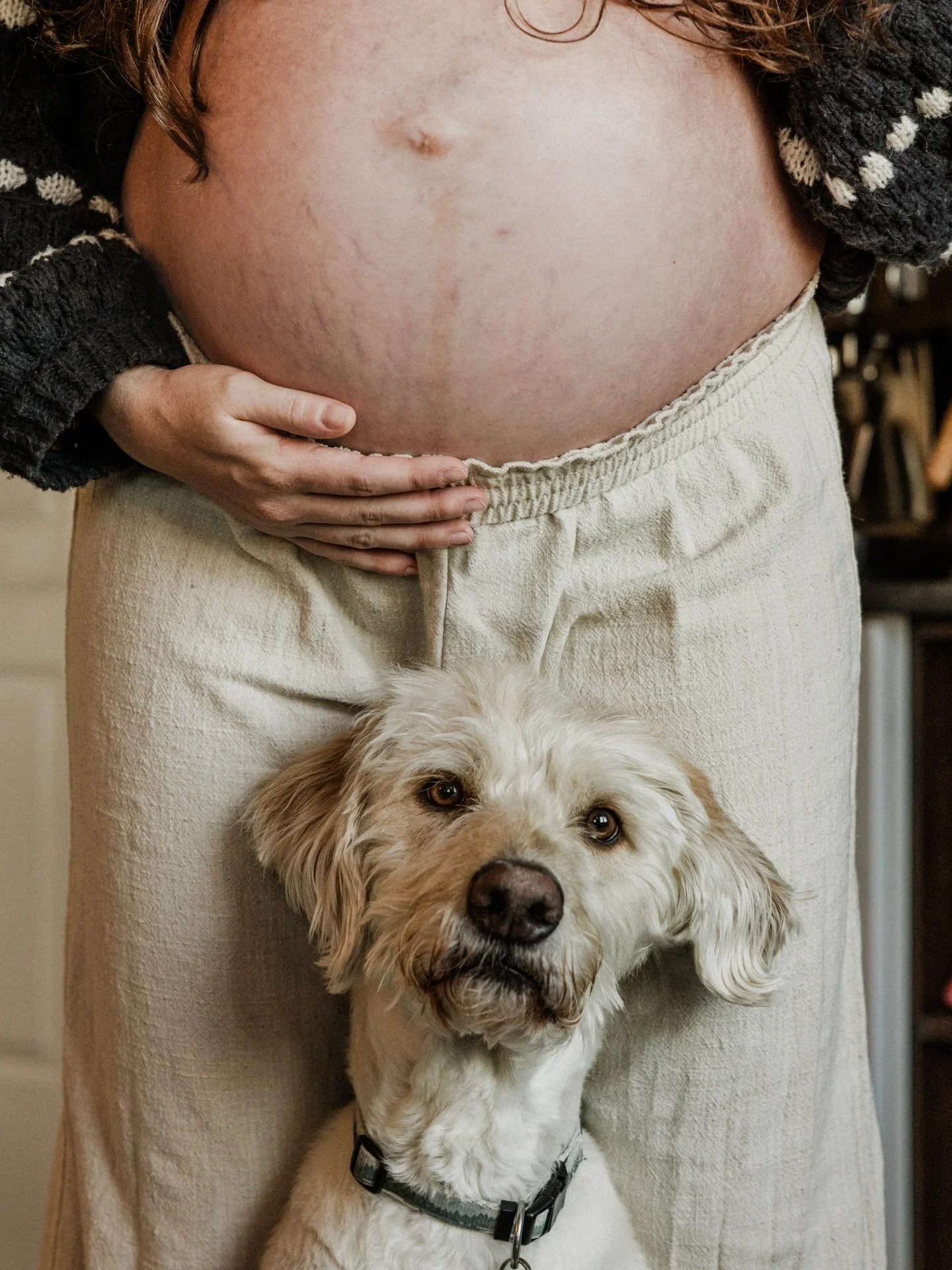 Little does he know what&rsquo;s coming. Maternity lifestyle shoot. Shot with the canon R5 at 70mm.
