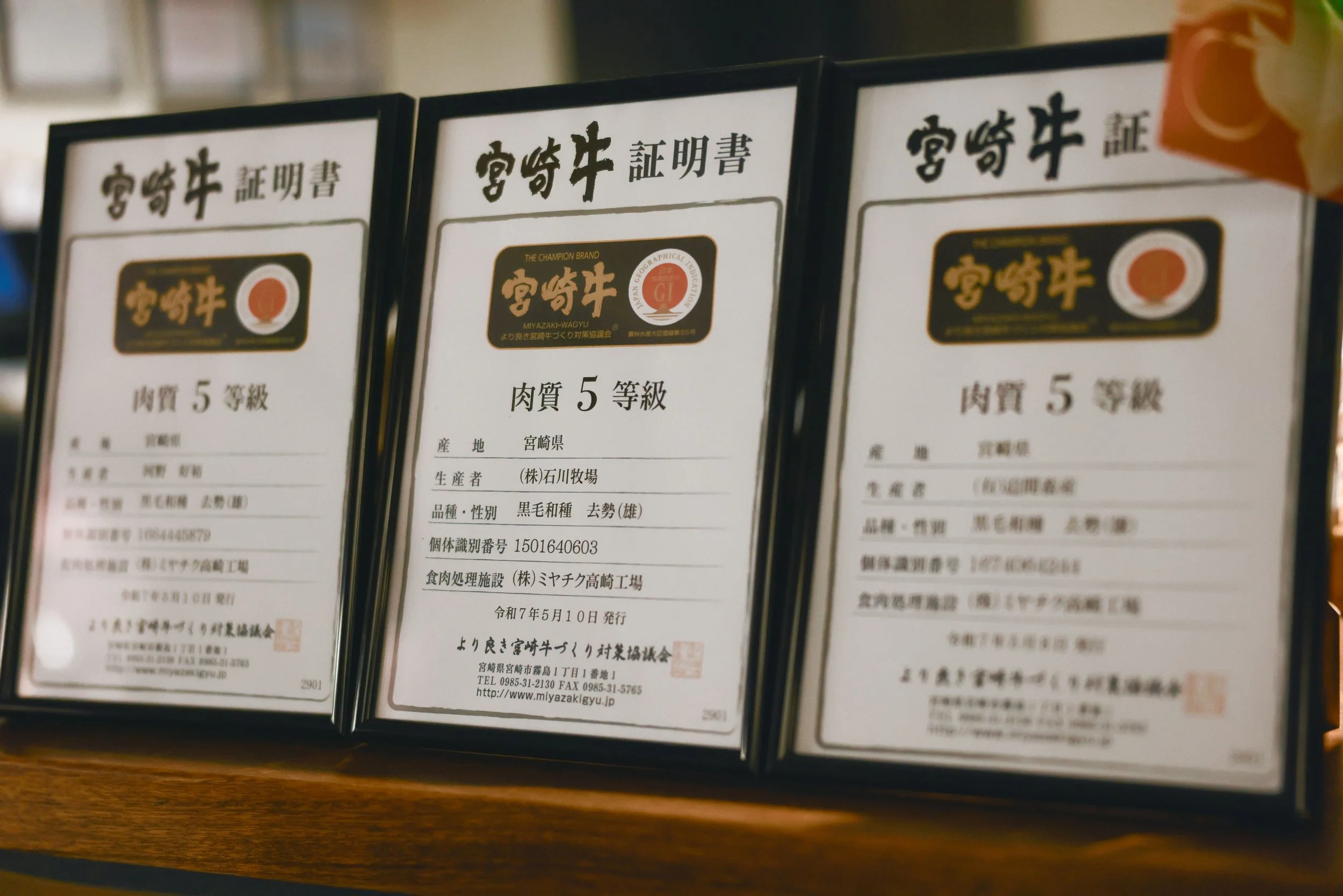 Certificate verifying authentic A5 Miyazaki wagyu Melbourne CBD restaurant